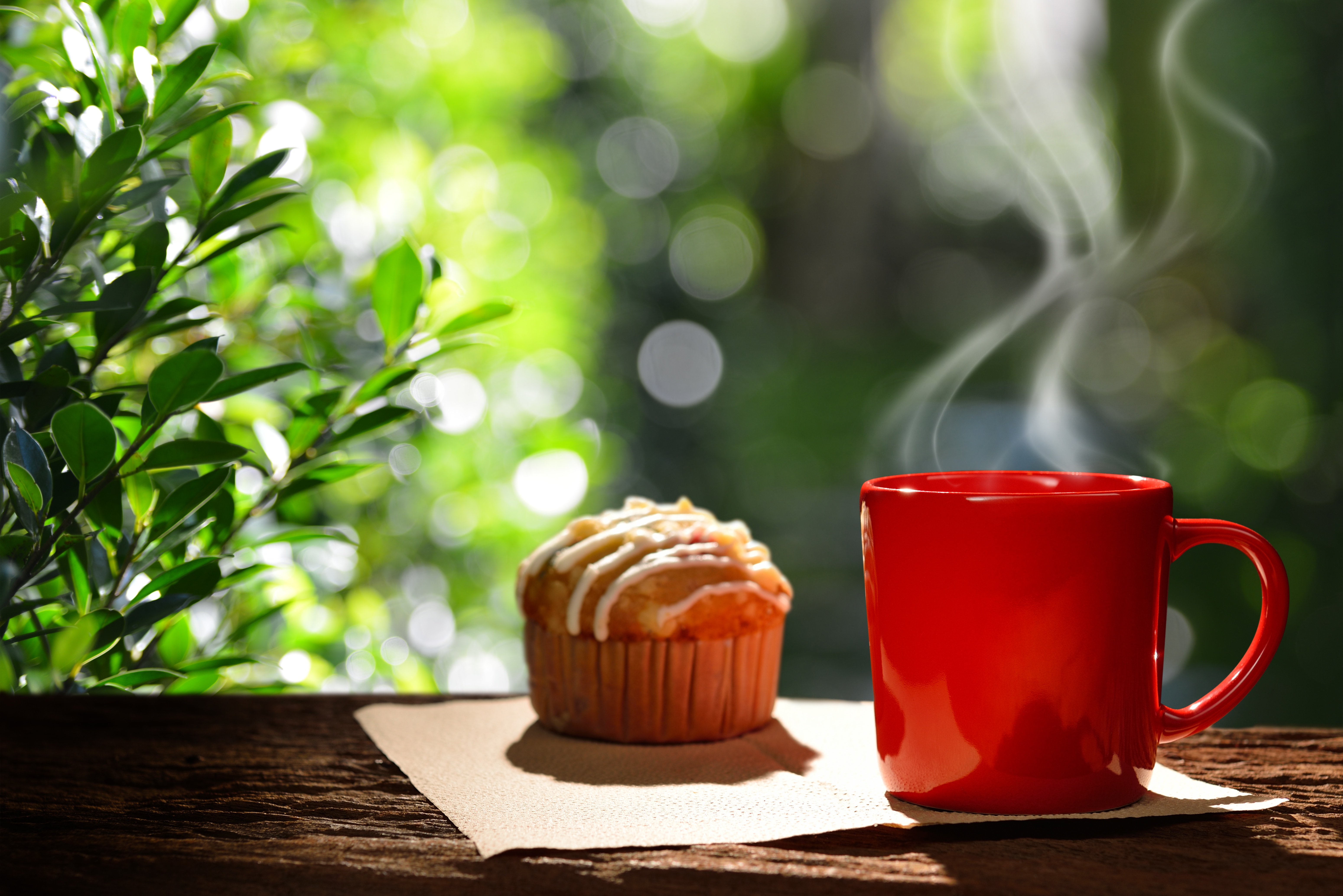 Бесплатные картинки утро. Красивое утро. Утро кофе. Чашка чая на природе. Прекрасного утра.