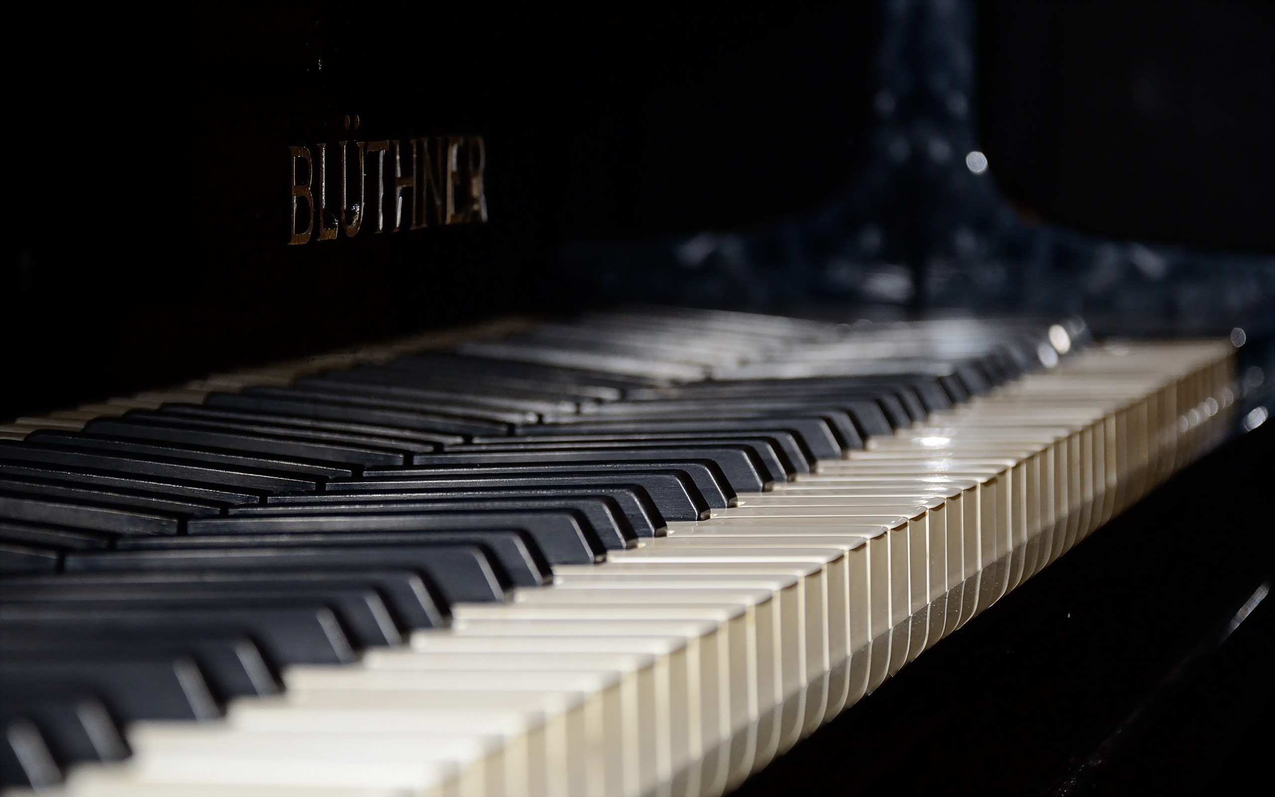 Фото пианина Крупным планом 2560x1600 Пианино фортепиано вблизи
