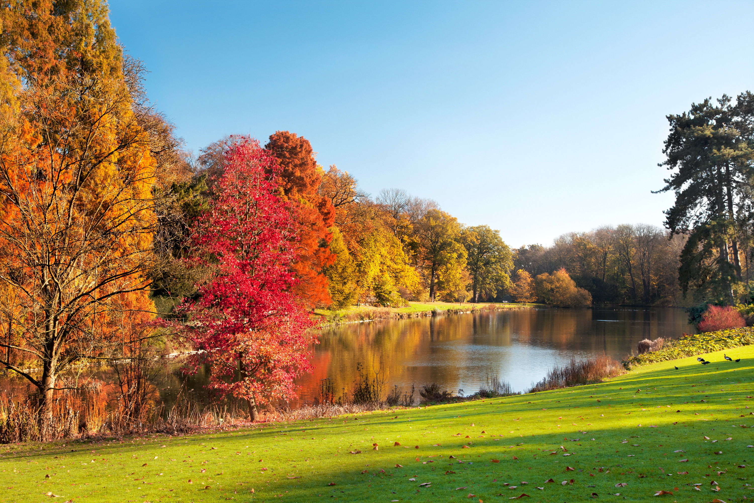 Красивые осенние картинки. Осень. Осенняя природа. Осенний пейзаж. Осенний парк.