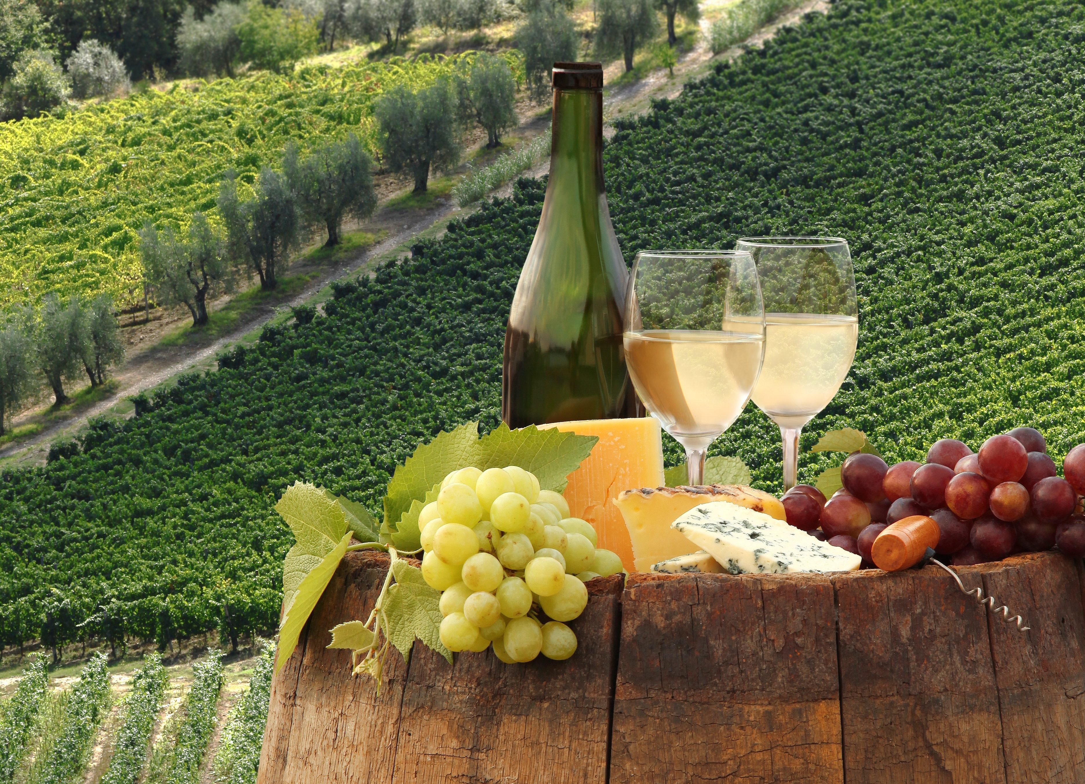 вино виноград сыр на лужайке бесплатно