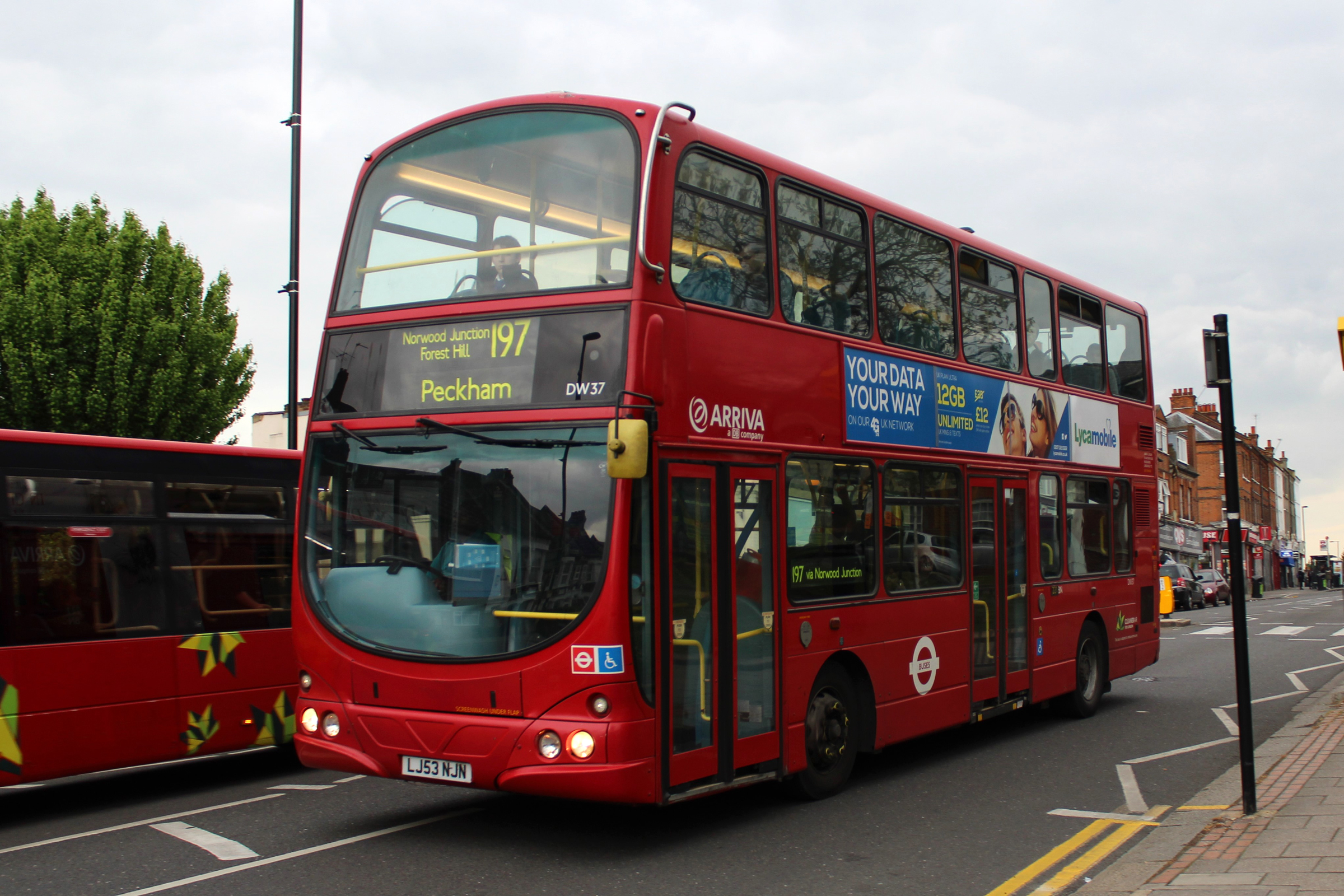 Красный автобус маршрутка. Разные автобусы. Красный автобус. Автобус картинка. Автобусы разных марок.