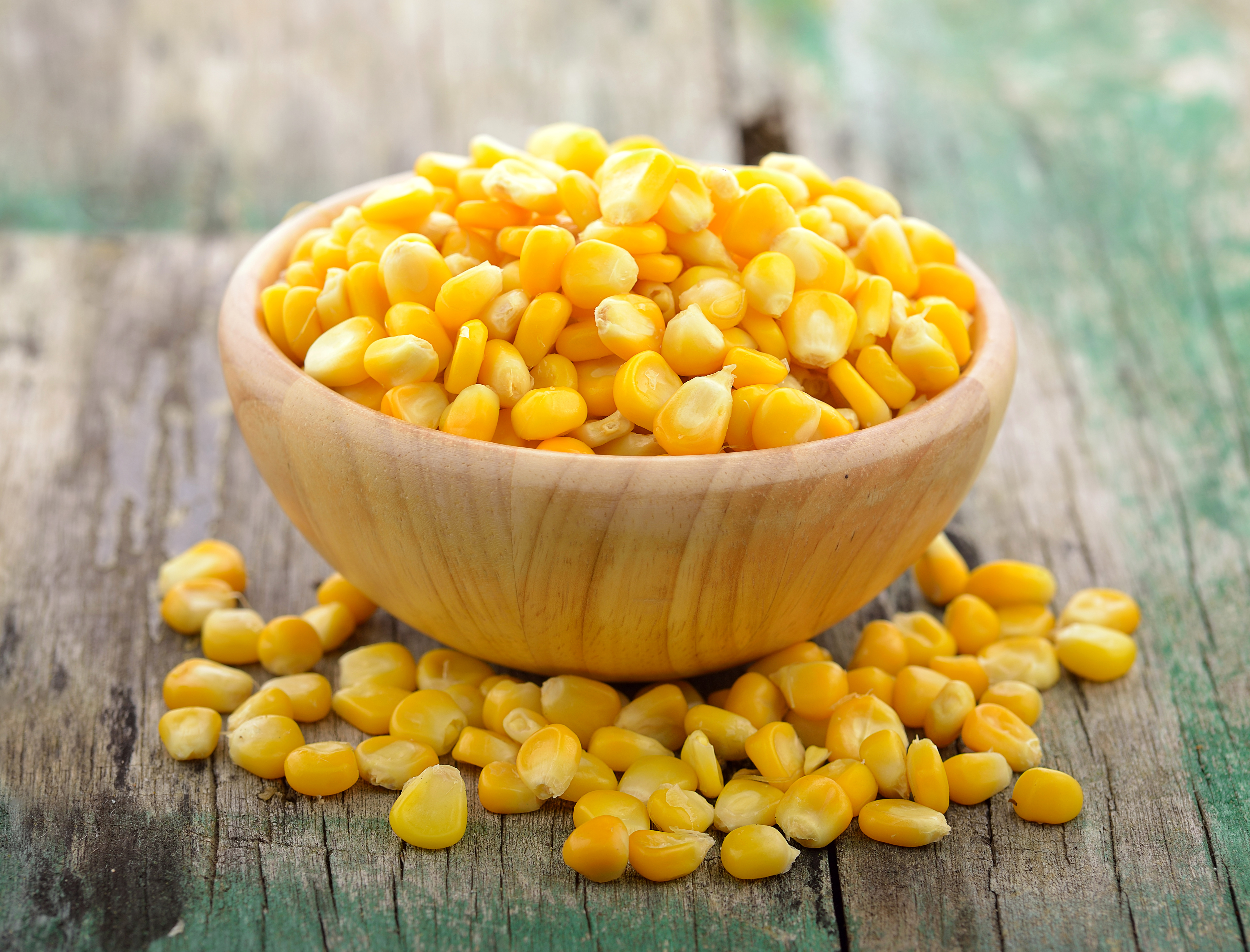 Corn me. Кукуруза (зерно). Кукурузные зерна. Кукуруза консервированная зерно. Качество зерна кукурузы.