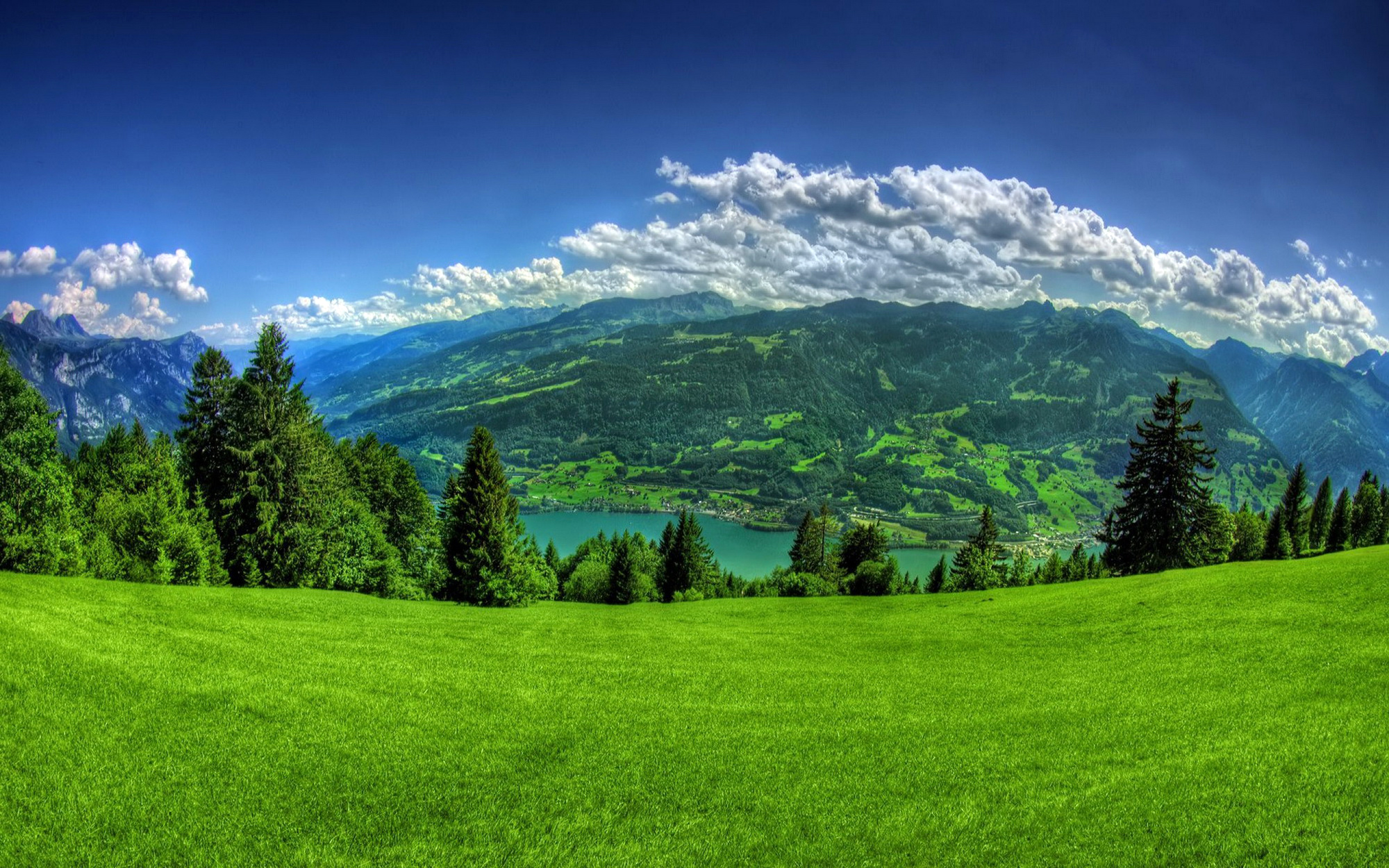 Швейцария Пейзаж Горы Небо Walenstadt Трава Ель Природа фото гора, траве, е...