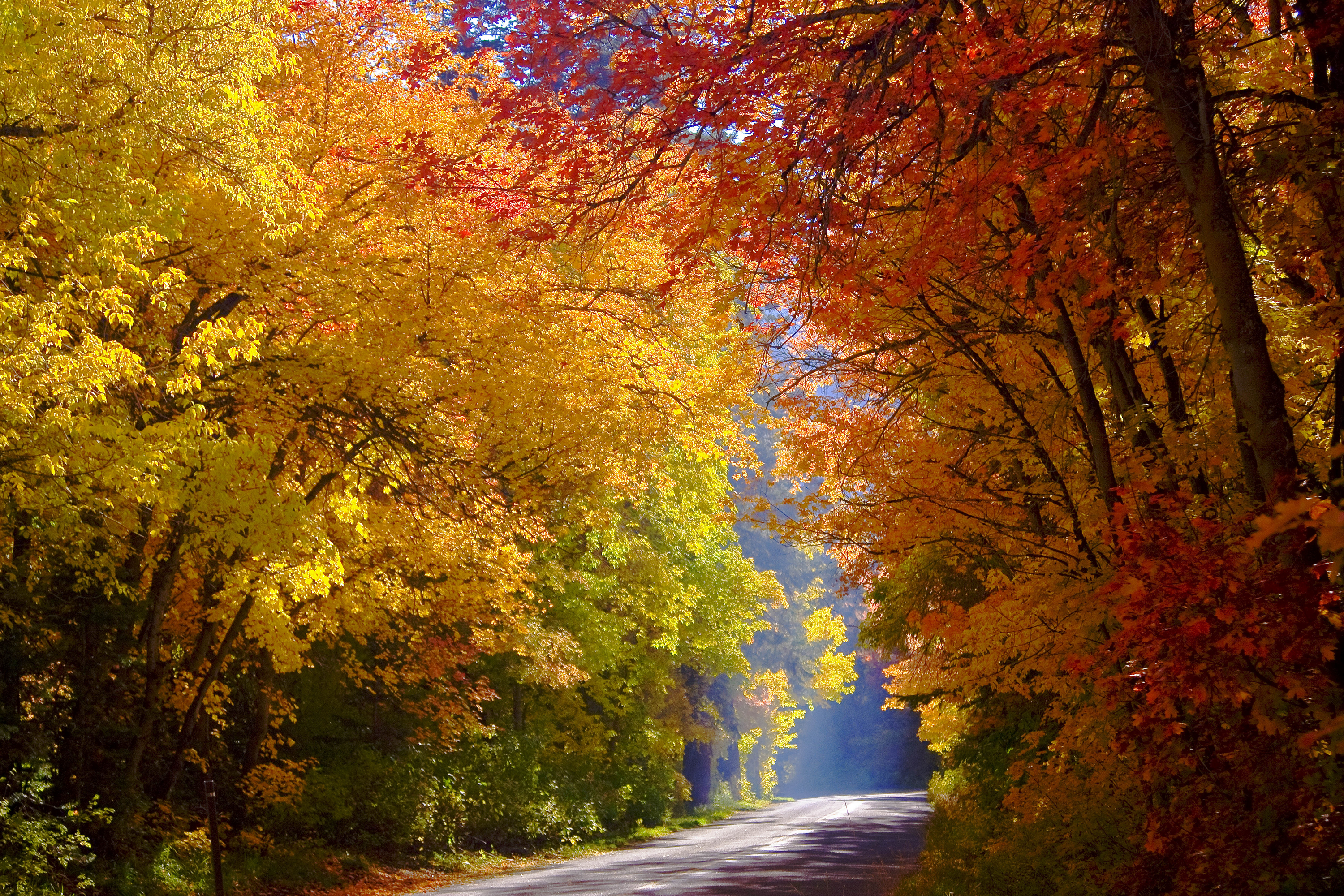 Красивые осенние картинки. Красивая осень. Осенняя природа. Осенний лес. Обои на рабочий стол осень.