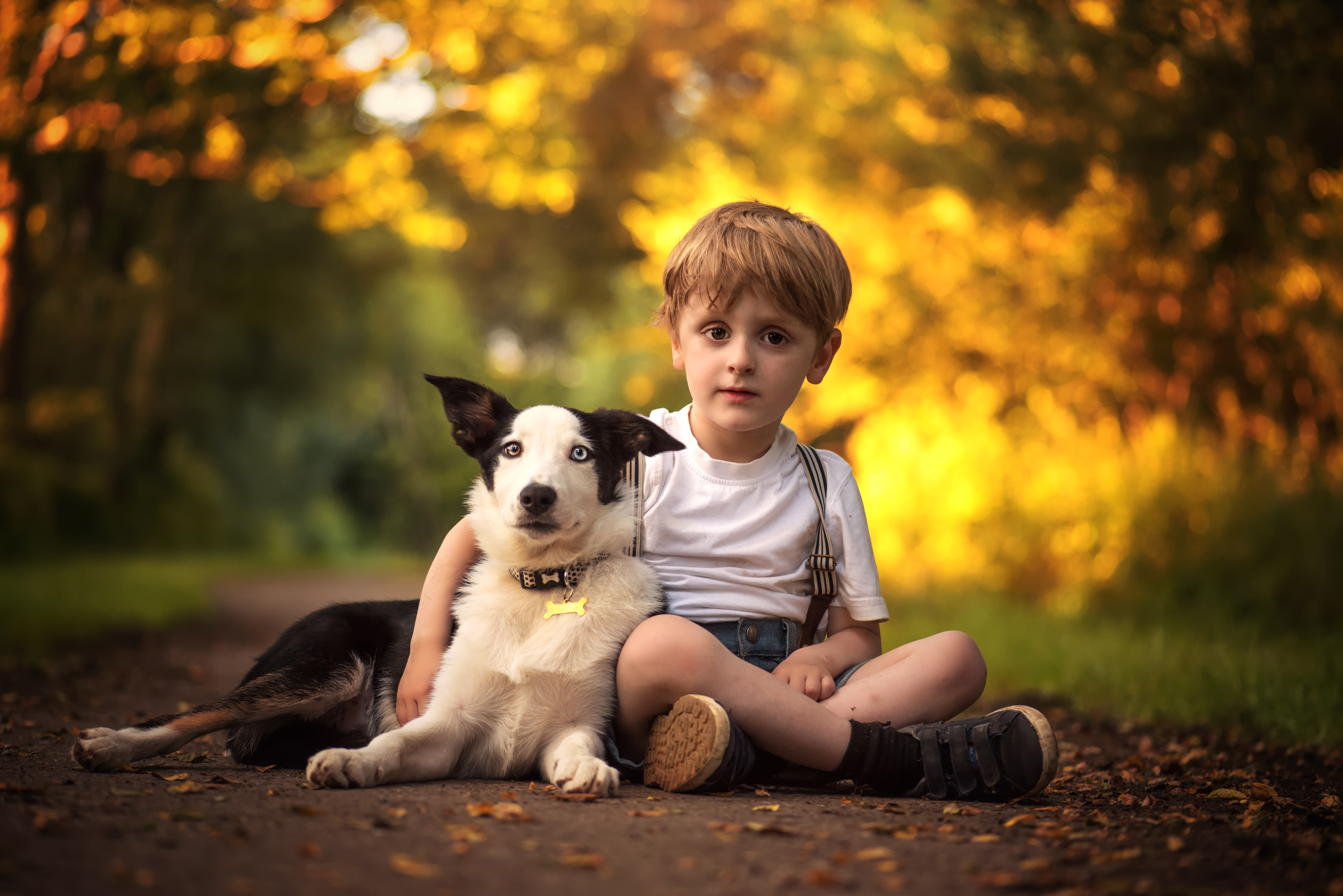 Мальчик играющий с собакой. Мальчик с собакой. Детская фотосессия с собакой. Собака для детей. Мальчик с собакой фотосессия.