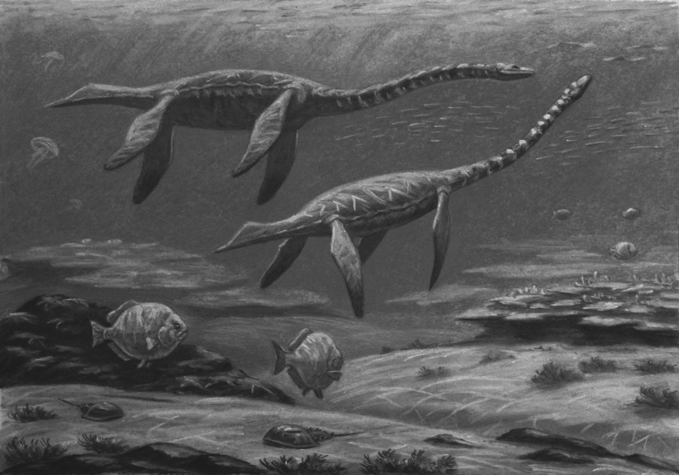 Первый древний океан. Зденек Буриан. Plesiosaurus dolichodeirus. Зденек Буриан динозавры. Зденек Буриан Пермский период.