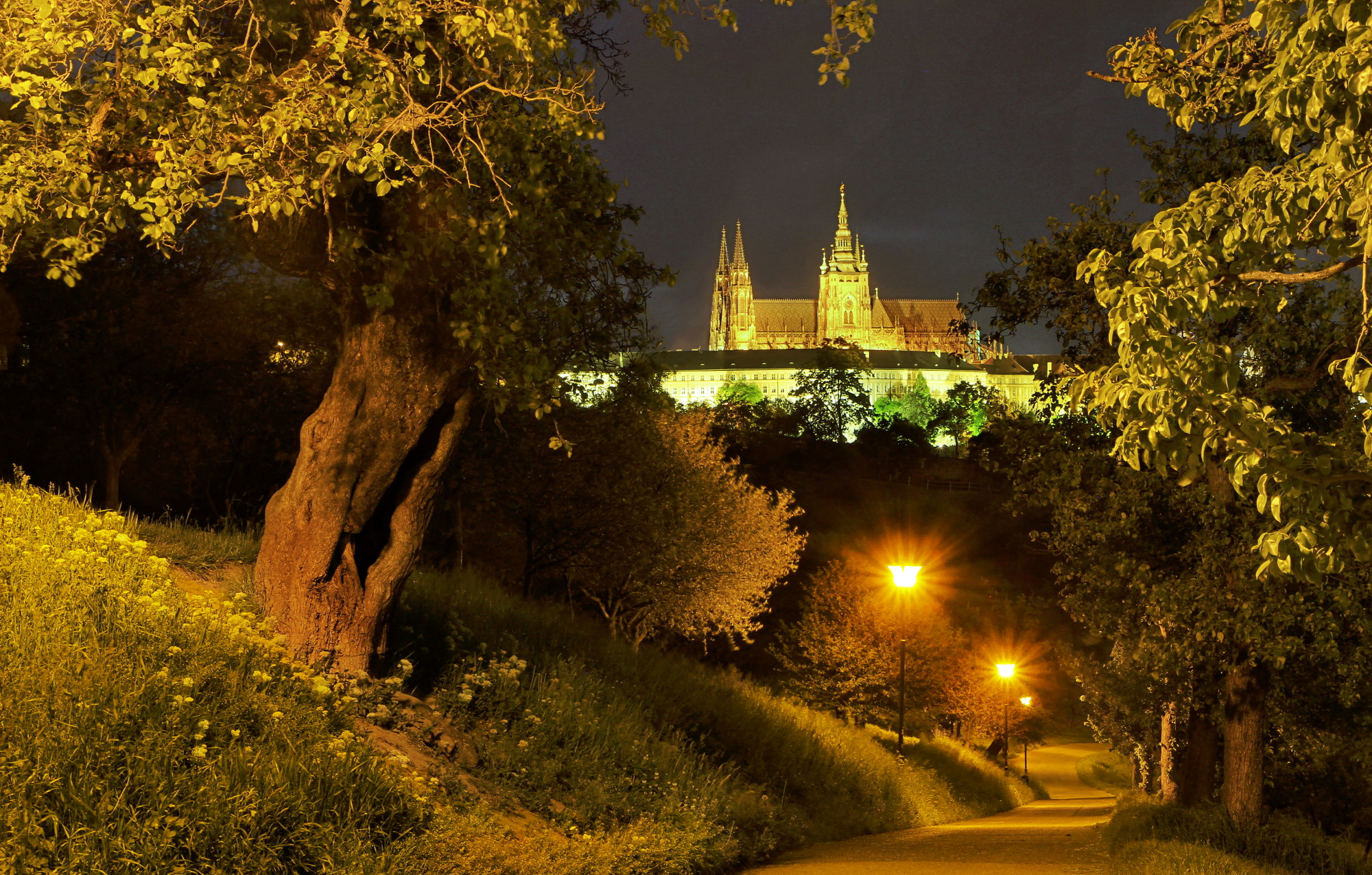 Ночная Прага без смс