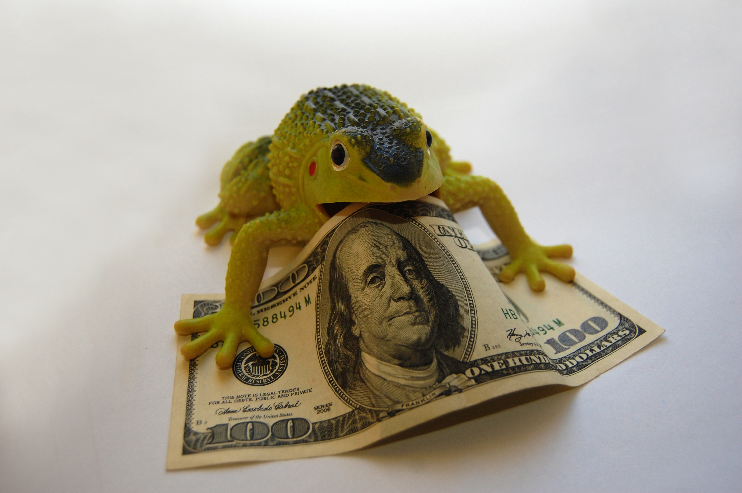 Деньги toys. Мягкая игрушка деньги. Лягушка с долларами. Лягушка с деньгами. Денежная жаба на долларах.