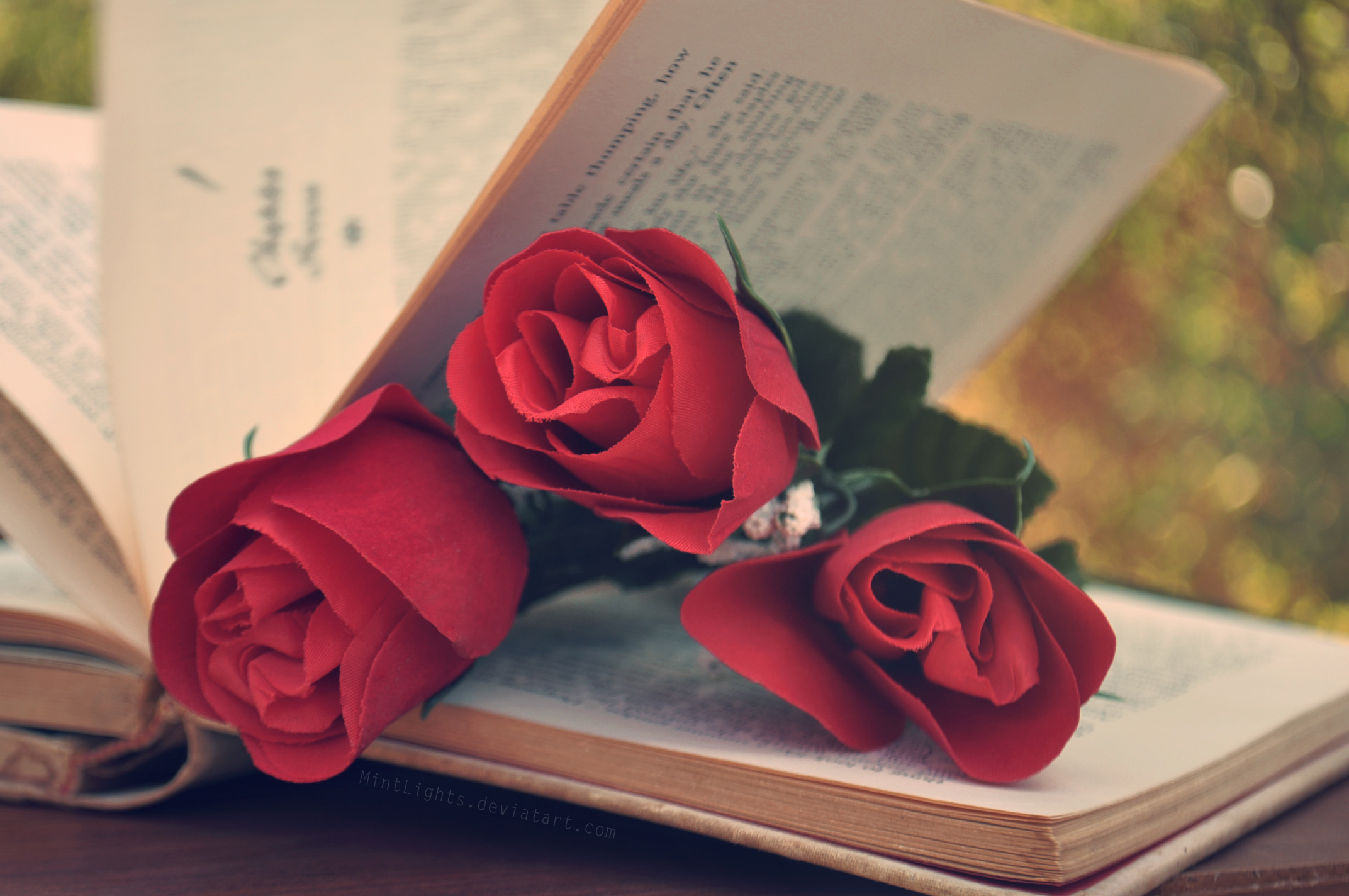 Роза на книге без смс