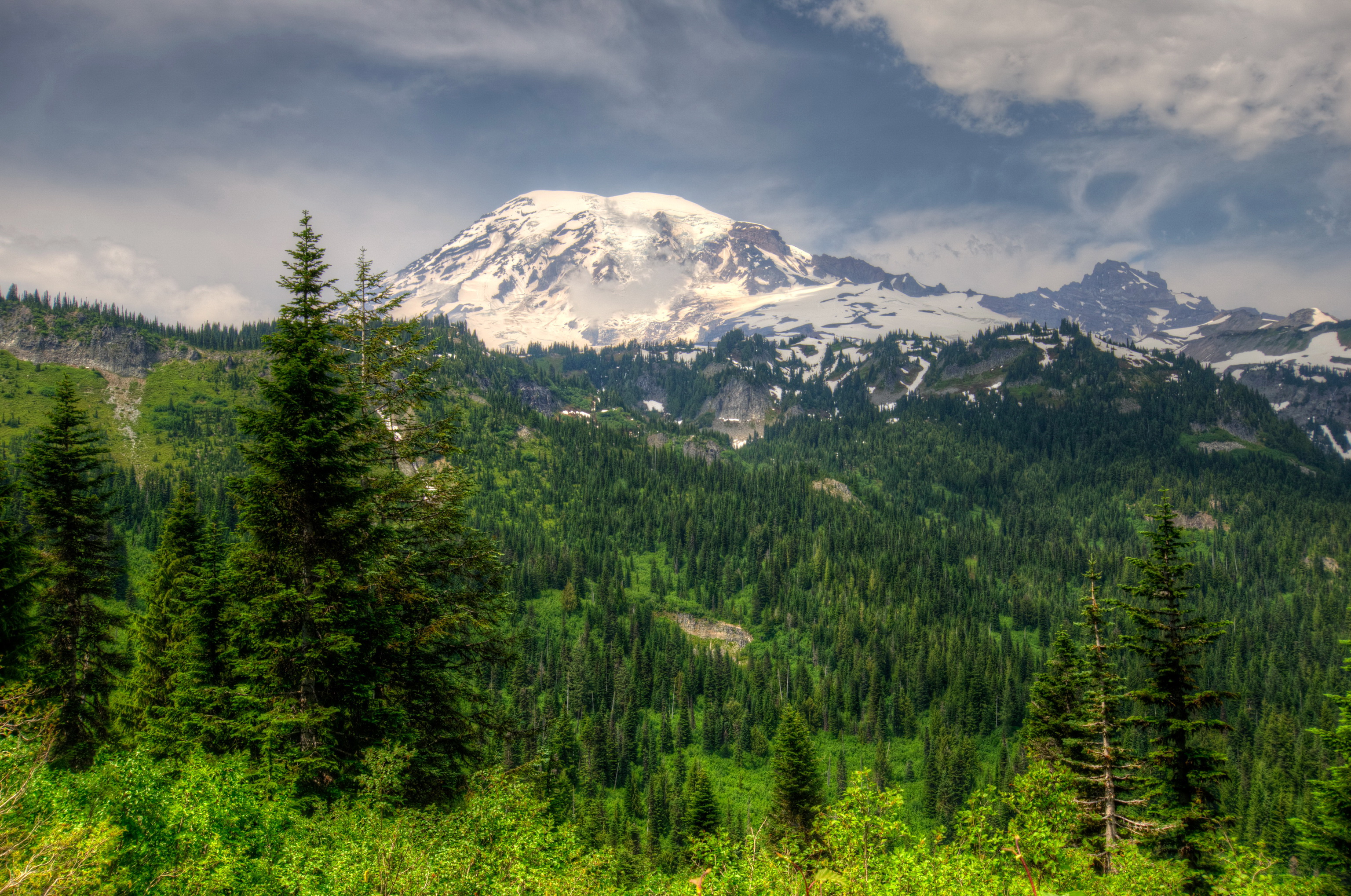 Фото лес и горы. Гора Рейнир штат Вашингтон. Национальный парк Маунт-Рейнир, штат Вашингтон. Гора Рейнир Вашингтон США. Сиэтл гора Рейнир.