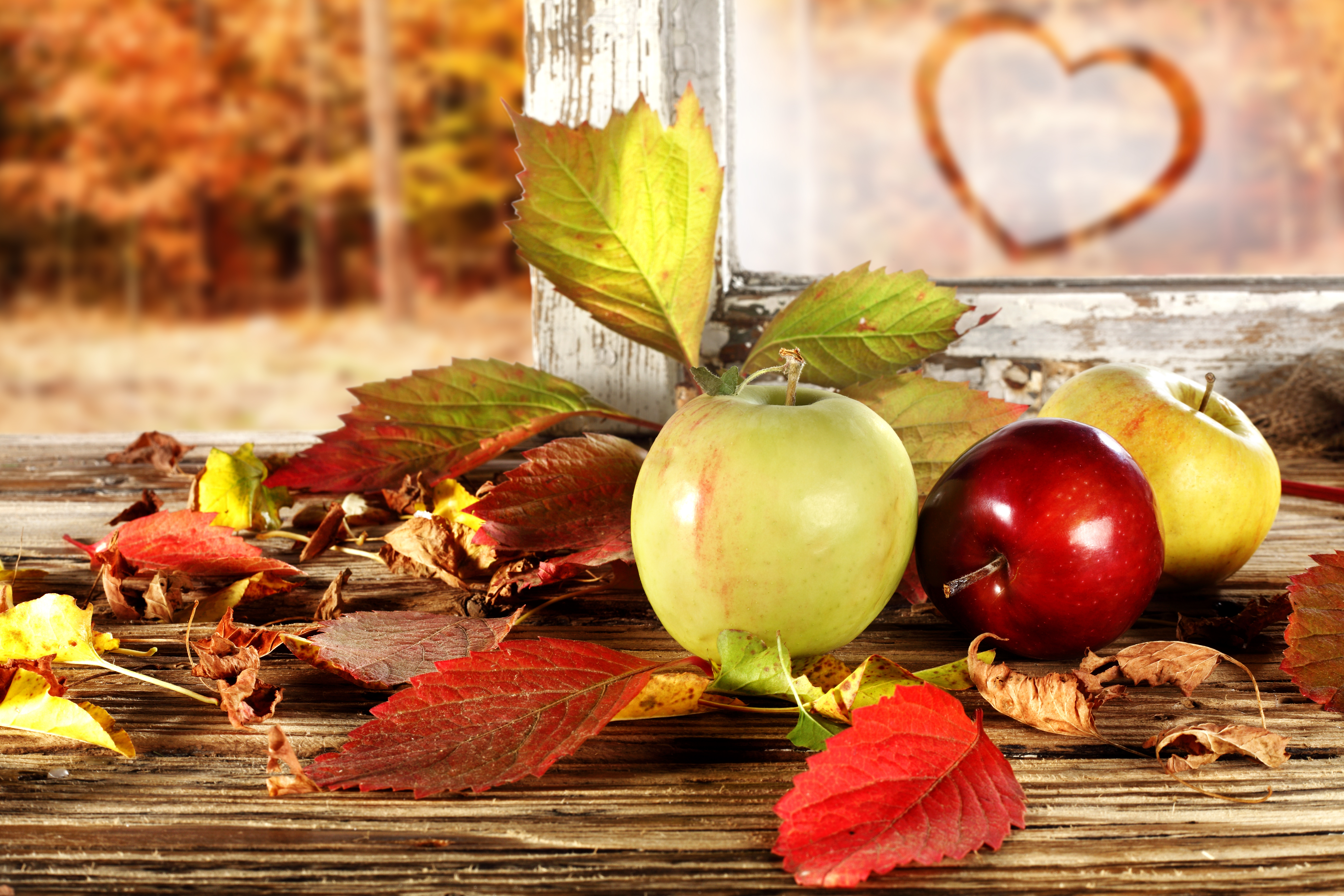 Яблоко, книга, листья, осень бесплатно