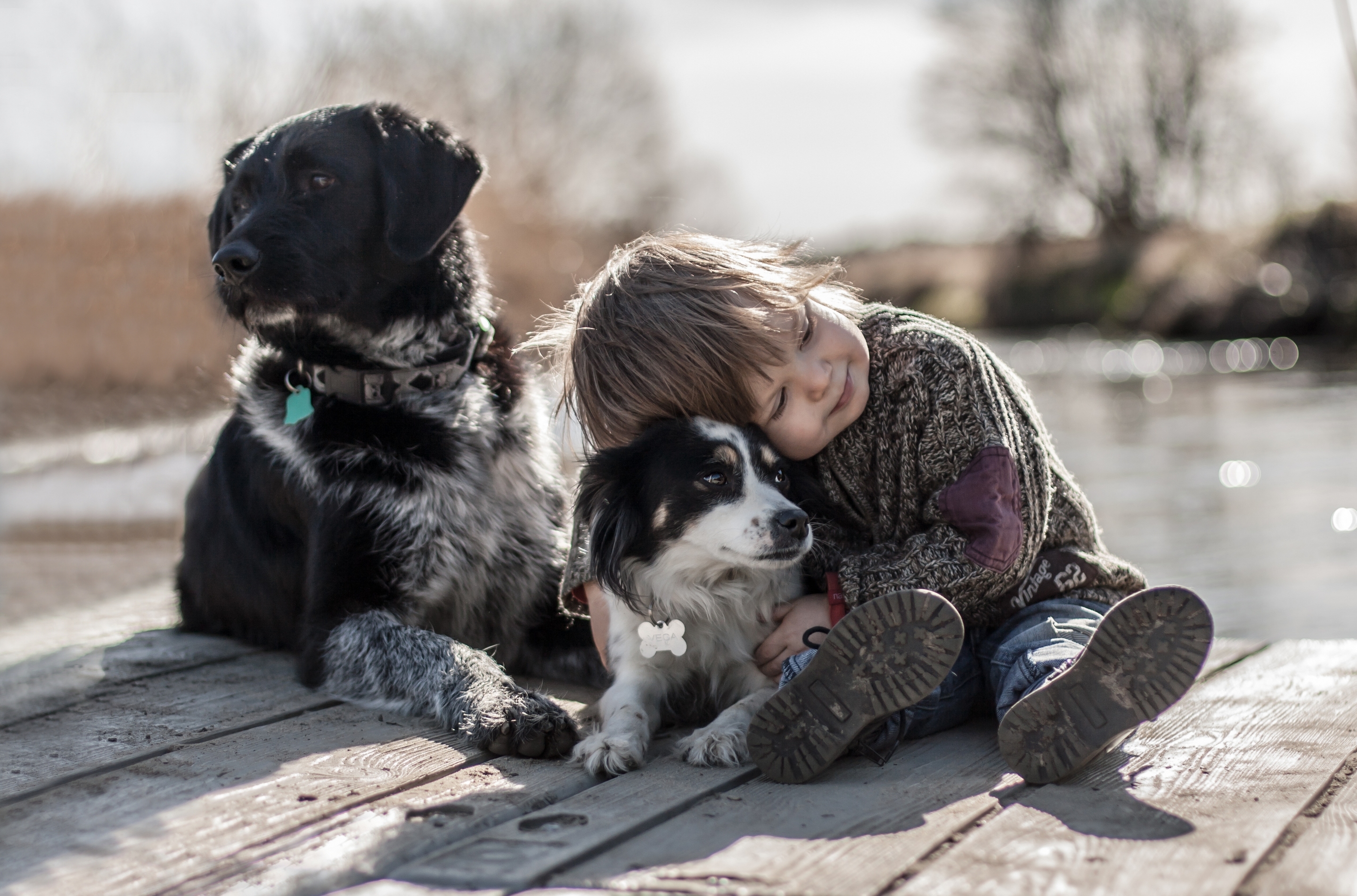 Трогательные видео про. Доброта к животным. О доброте. Дети и животные Дружба. Собака друг человека.