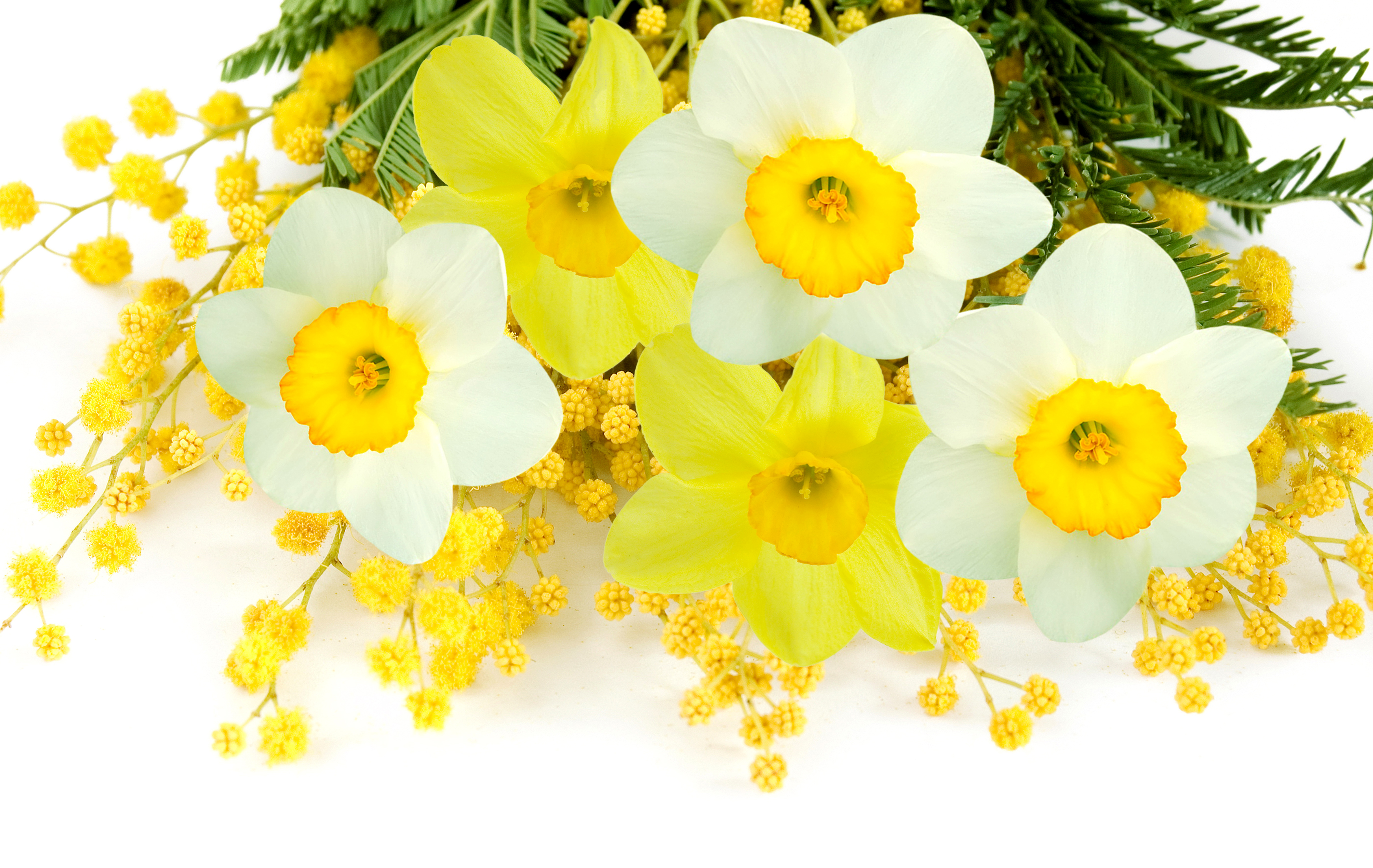 Цветы желтые весна без смс