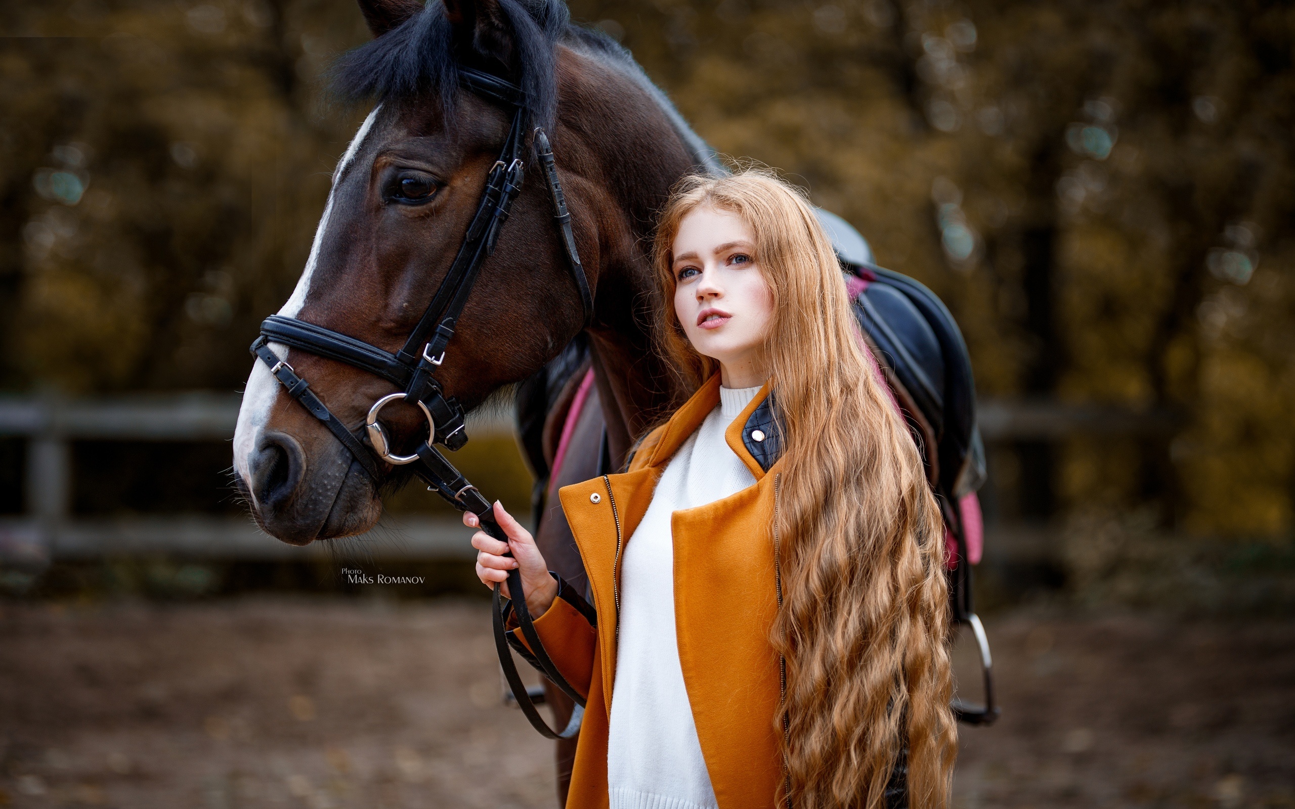 Картинки Лошади Шатенка Размытый фон Девушки смотрит лошадь шатенки боке девушка молодая женщина молодые женщины Взгляд смотрят