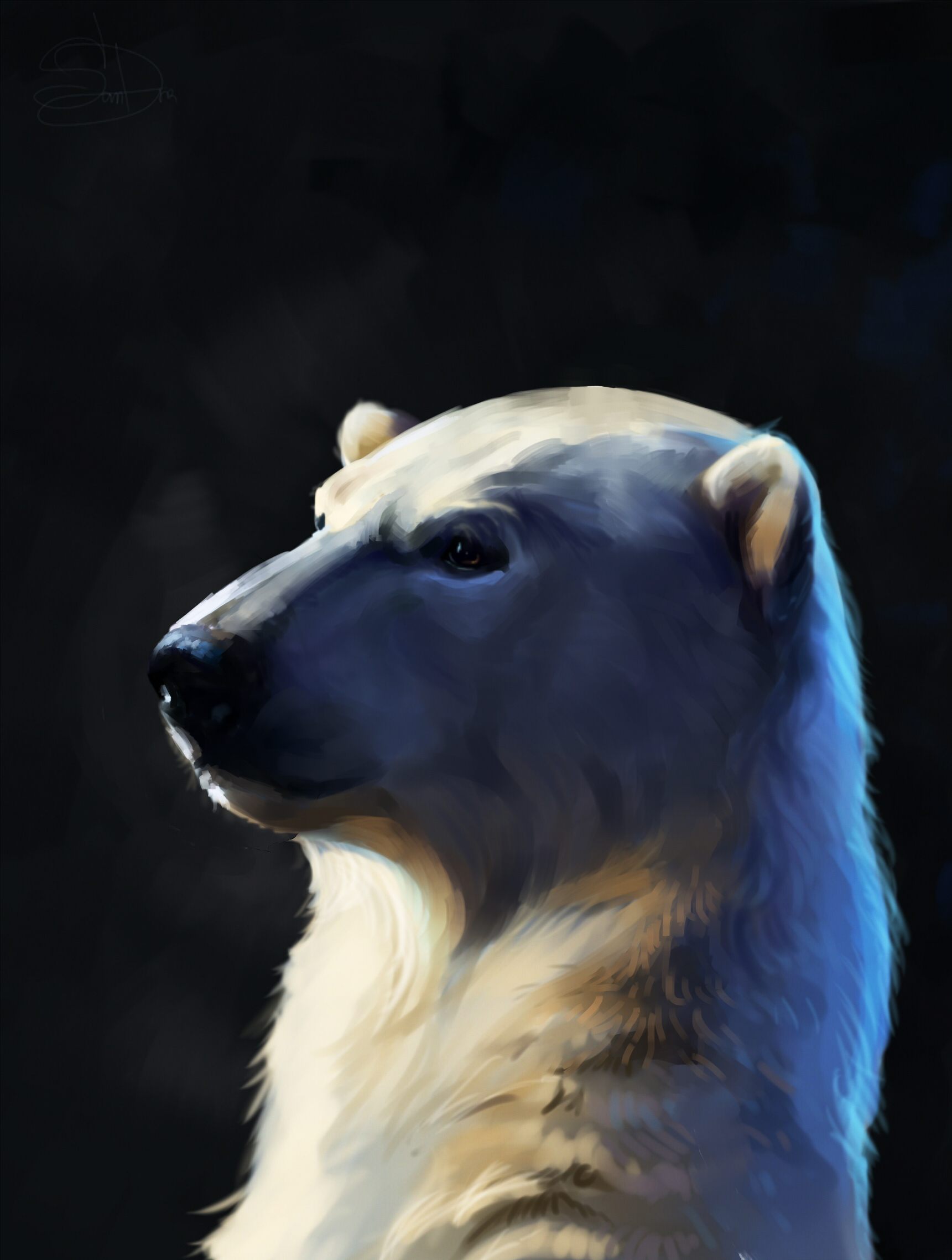 Фотография полярный Голова животное Рисованные 1721x2277 для мобильного телефона северный Белые Медведи головы Животные
