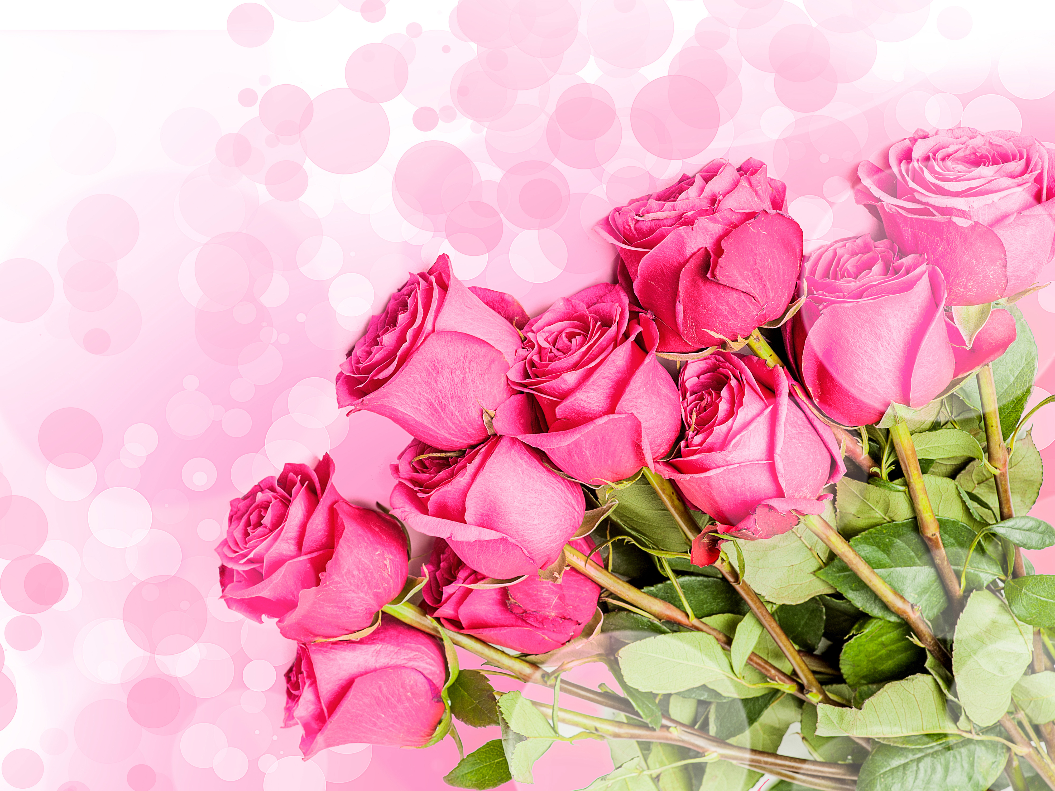 Розовая открытка с днем рождения. Открытки с розами. Открытки с цветами красивые. Цветы поздравления. Поздравляю! (Цветок).