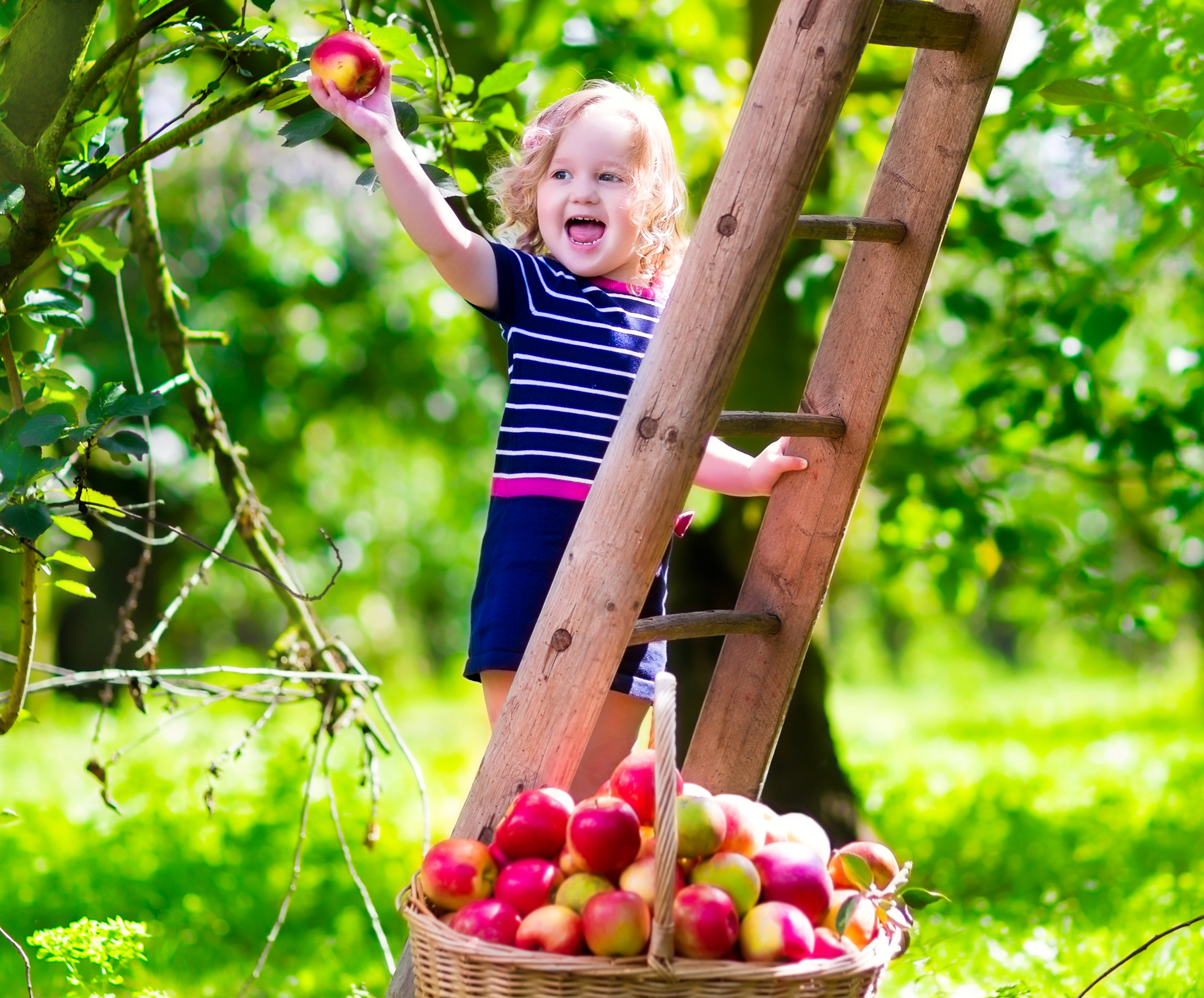 В саду гудят. Яблоки в саду. Девочка в саду. Сбор яблок в саду. Дети в яблоневом саду.