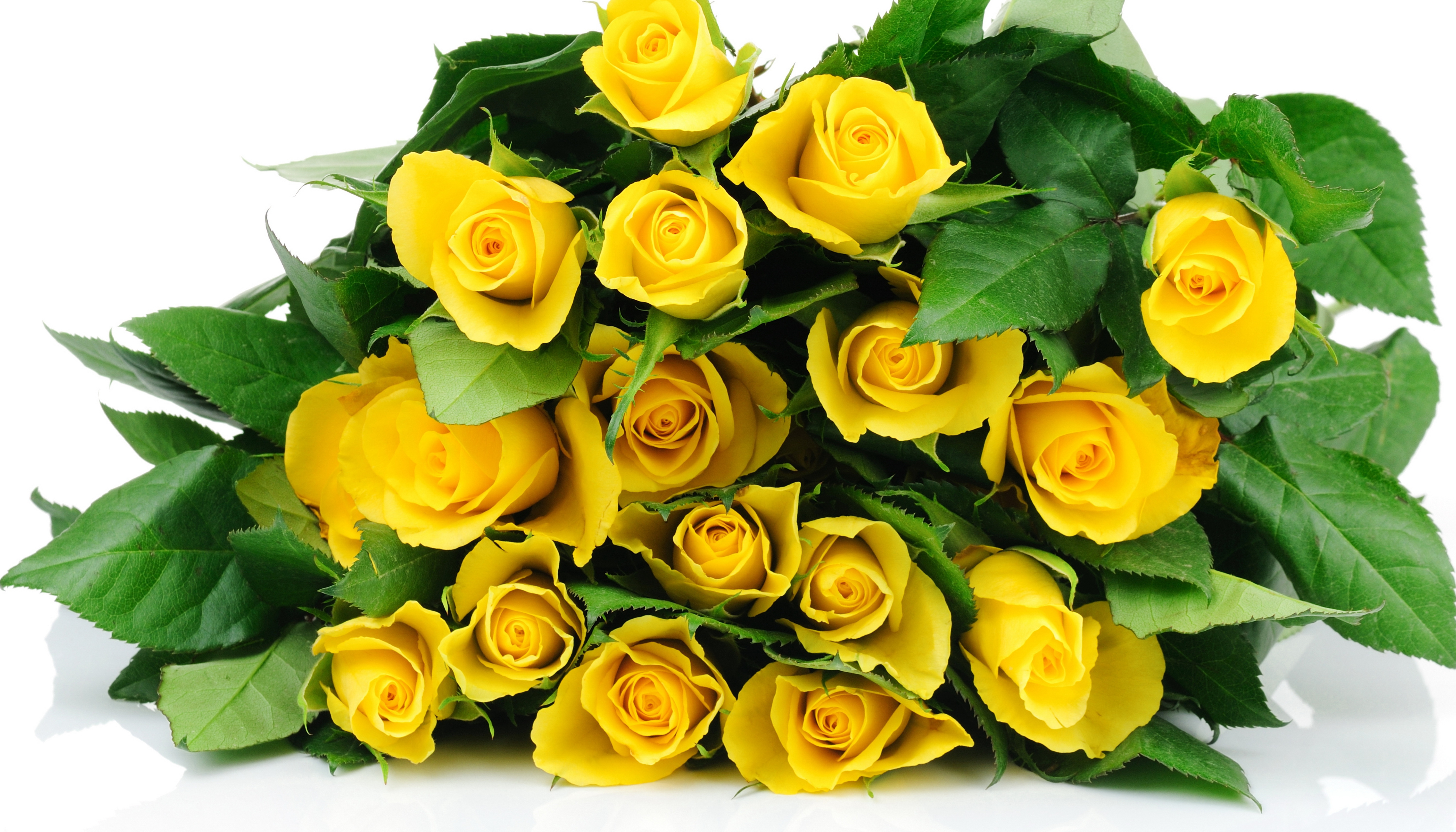 Желтые розы в букете бесплатно