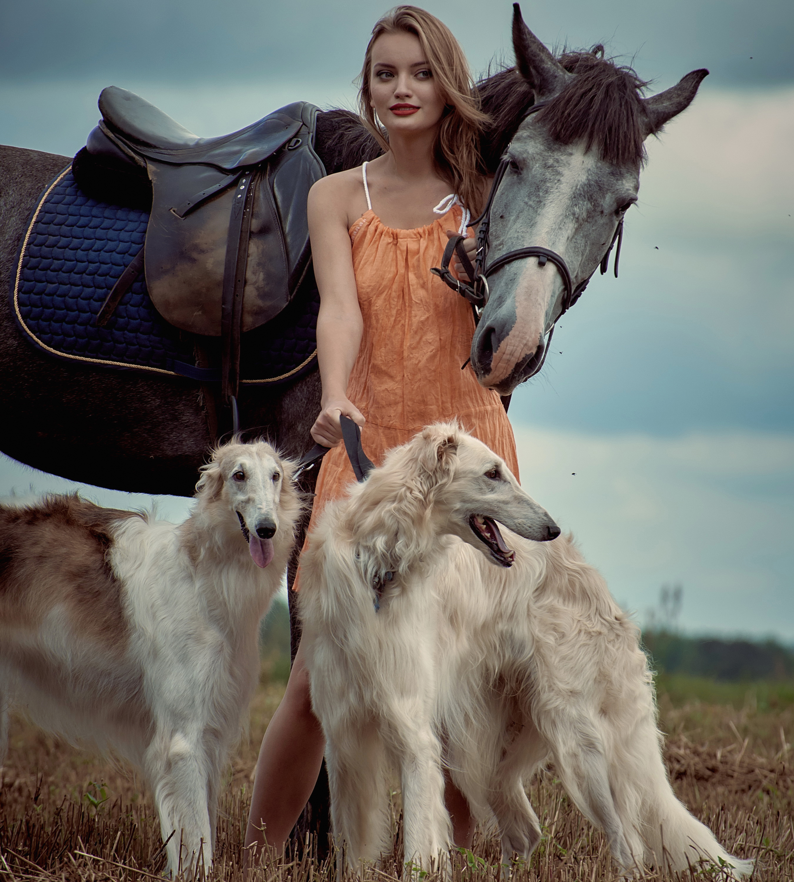 Русская девушка с лошадью. Фотосессия с лошадью и собакой. Девушка с борзыми. Борзая лошадь. Фотосессия с охотничьей собакой.