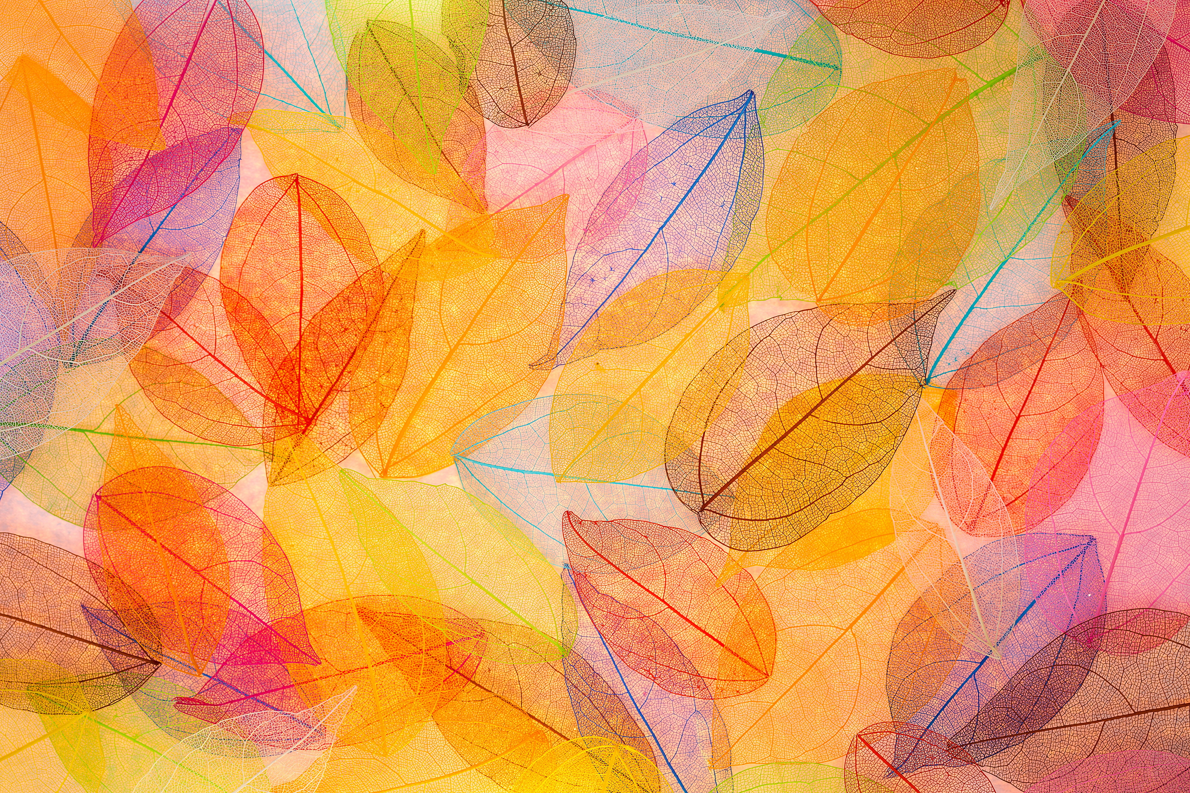 осень листья графика абстракция бесплатно