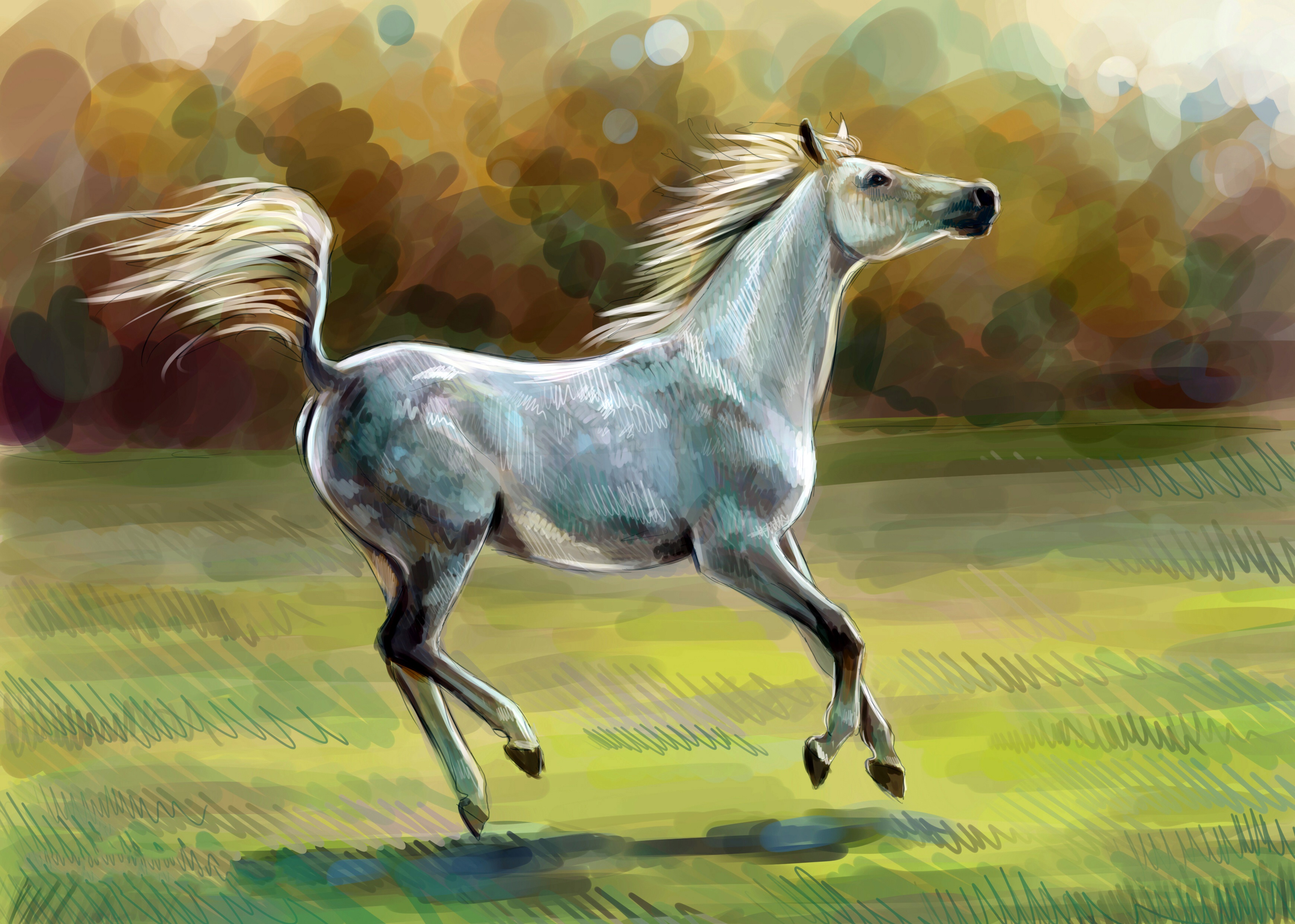 Лошадь картинки рисунки. Лошадь рисунок. Красивые рисунки лошадей. Красивые картины лошадей. Конь гуашью.