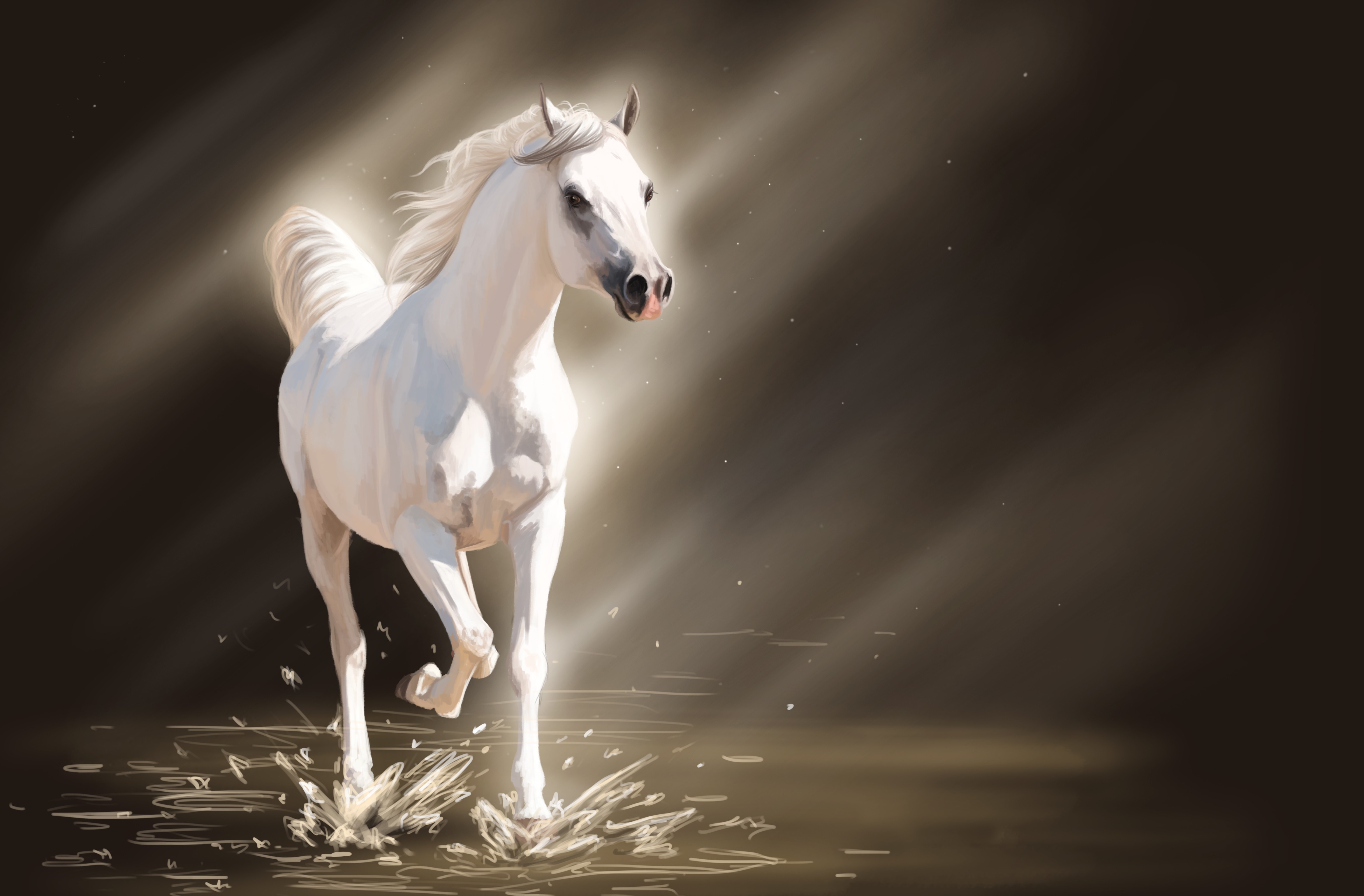 лошадь белая скачать