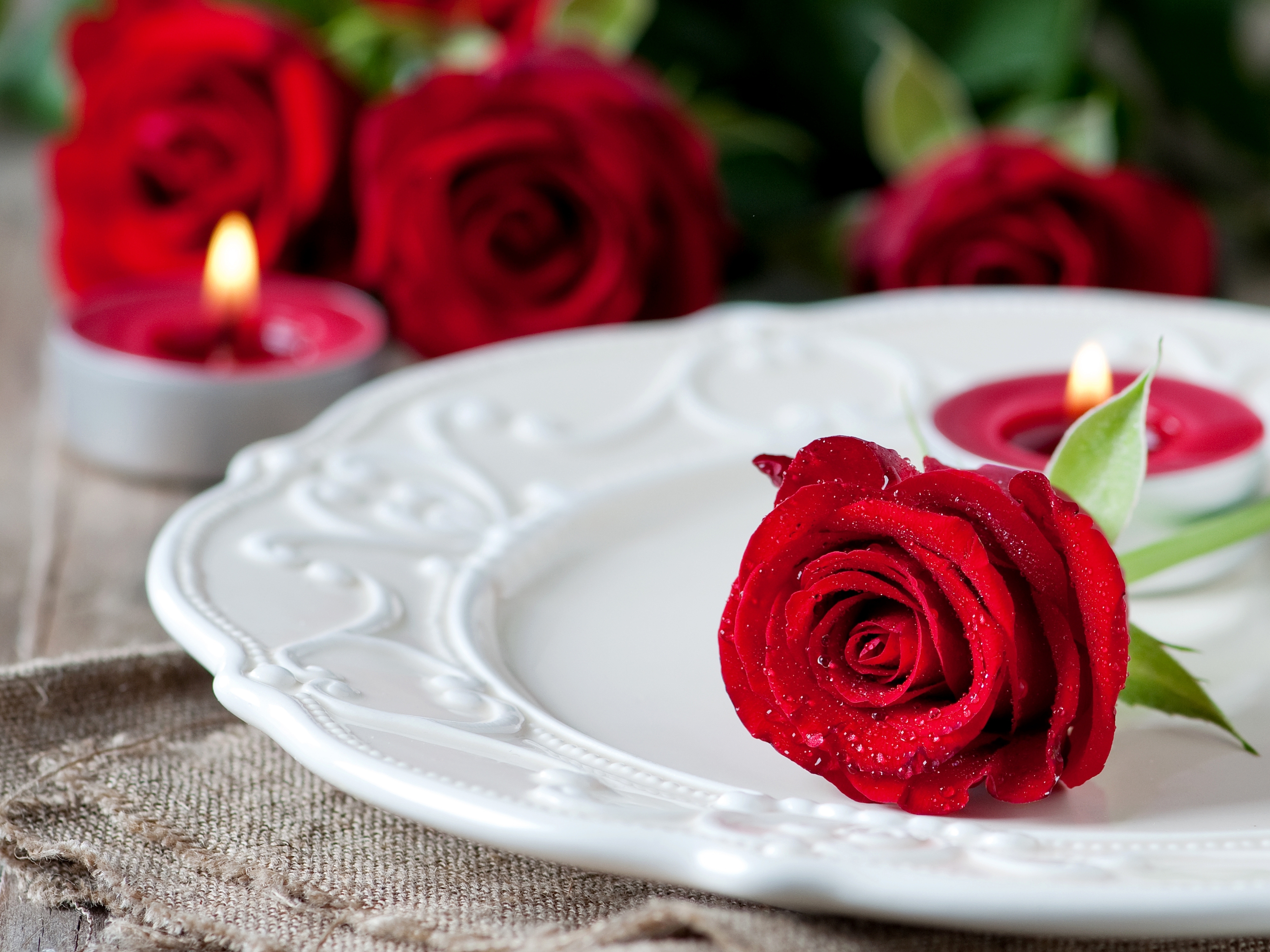 роза цветок тарелка без смс