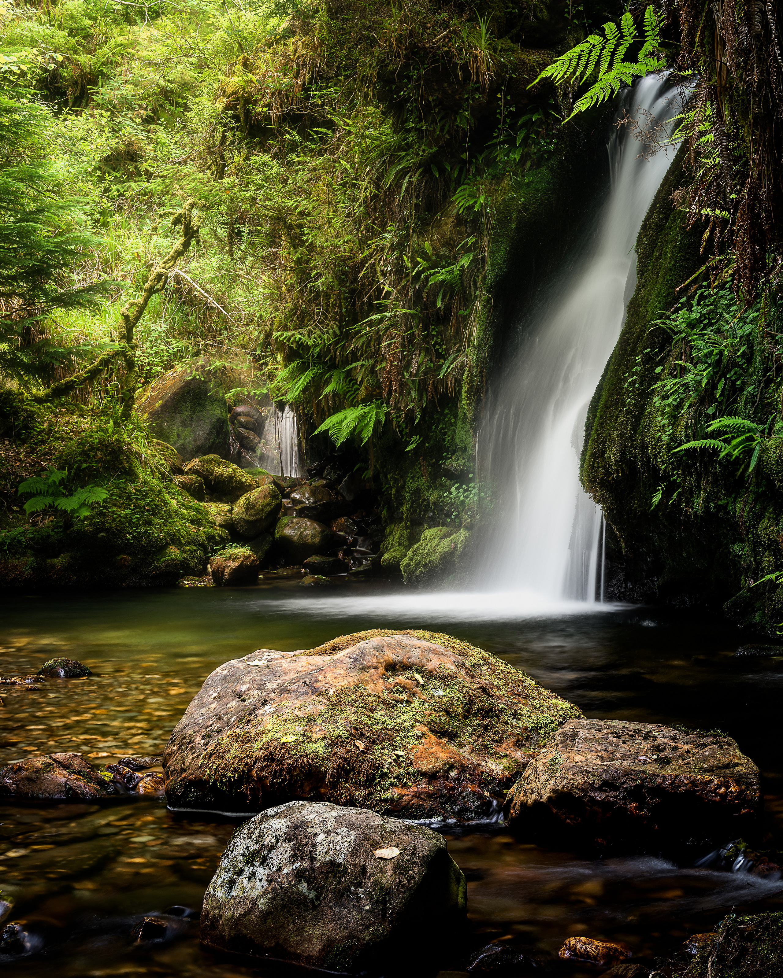 Картинка Ирландия Secret Falls Природа Водопады мха Камни  для мобильного телефона Мох мхом Камень