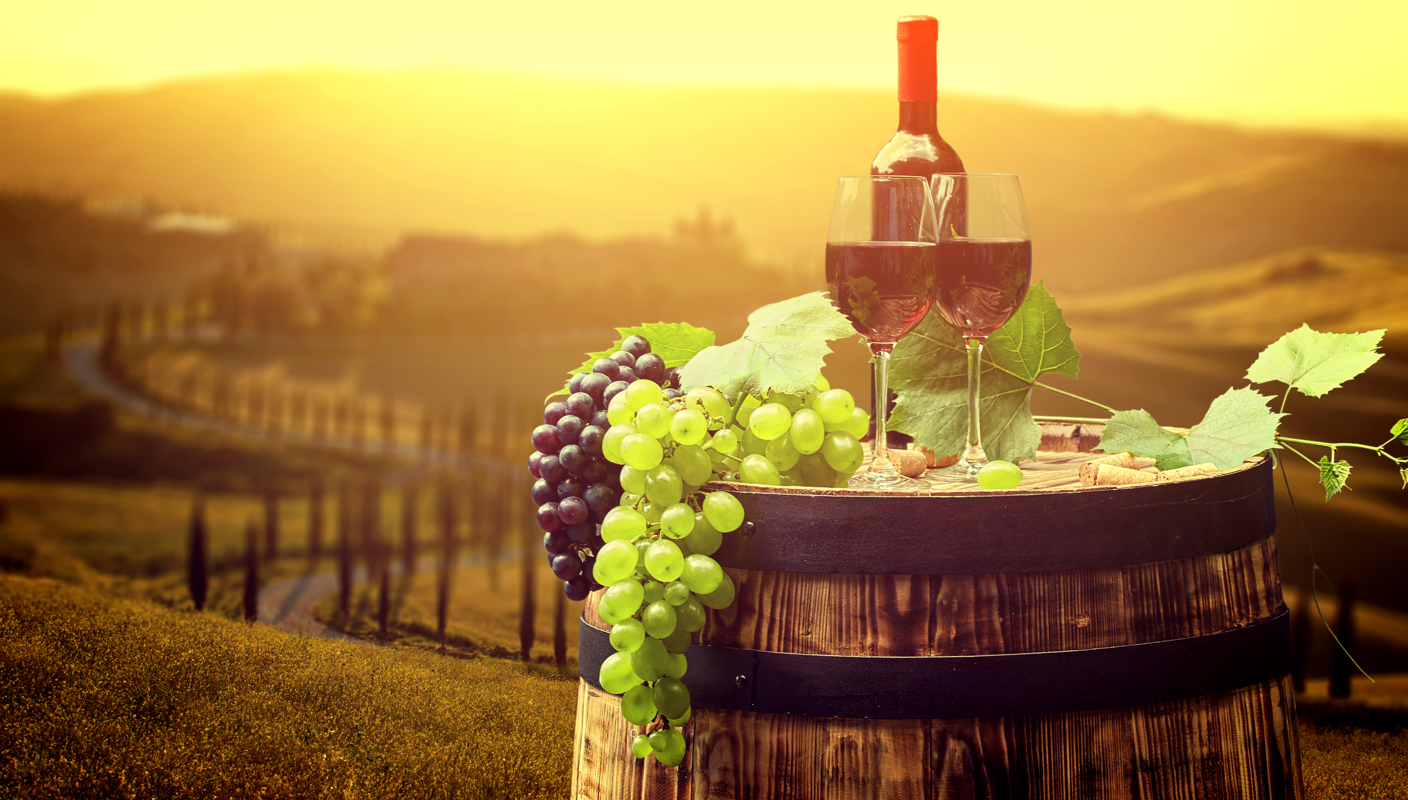 Розовое вино виноград. Виноградники и вино Италии. Тоскана виноделие. Вино Тоскана Италия. Вино и виноград.