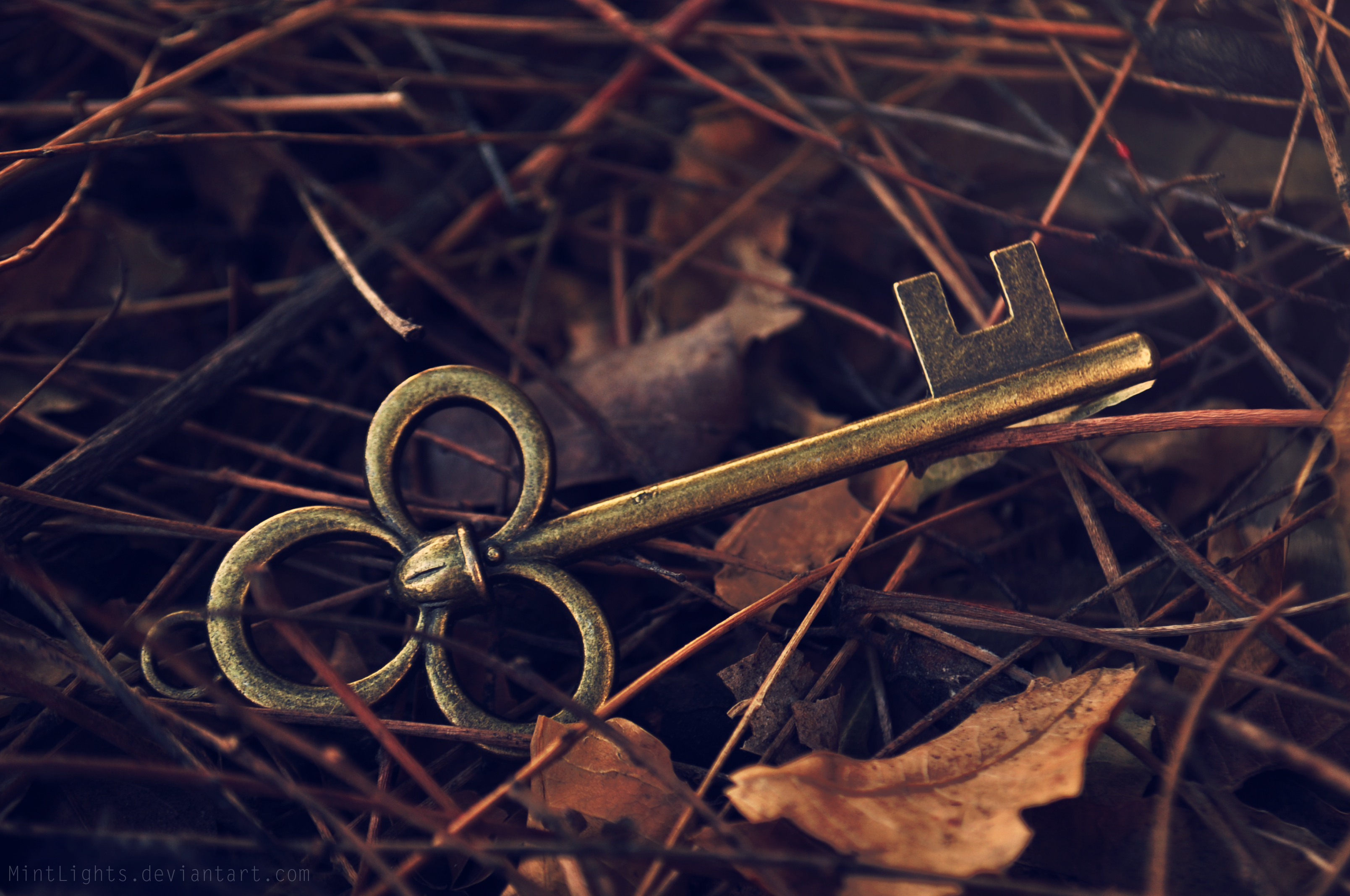 Воскресный ключ. Красивые ключи. Красивый старинный ключ. Ключ Эстетика старинный. Красивый ключик.