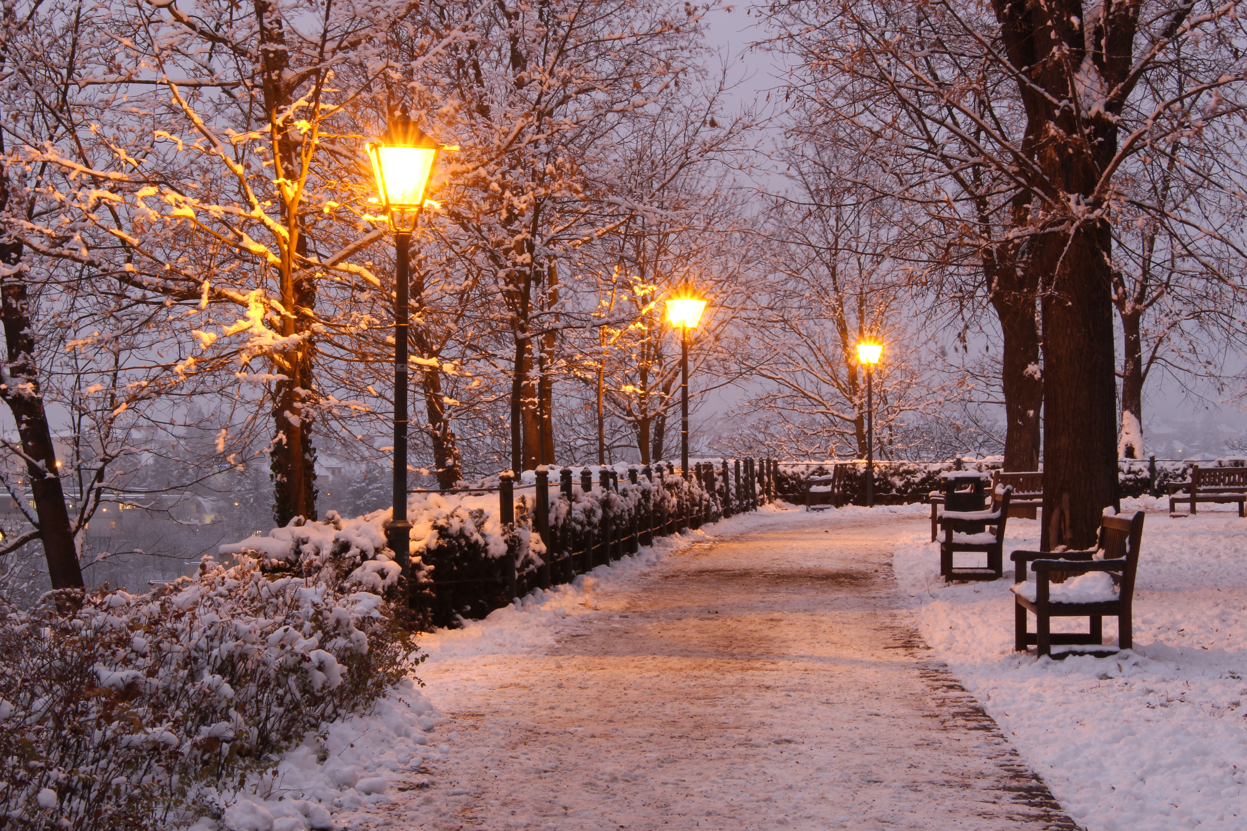 Город снег вечер. Зимний парк. Зимняя аллея. Зима в городе. Зимний вечер.