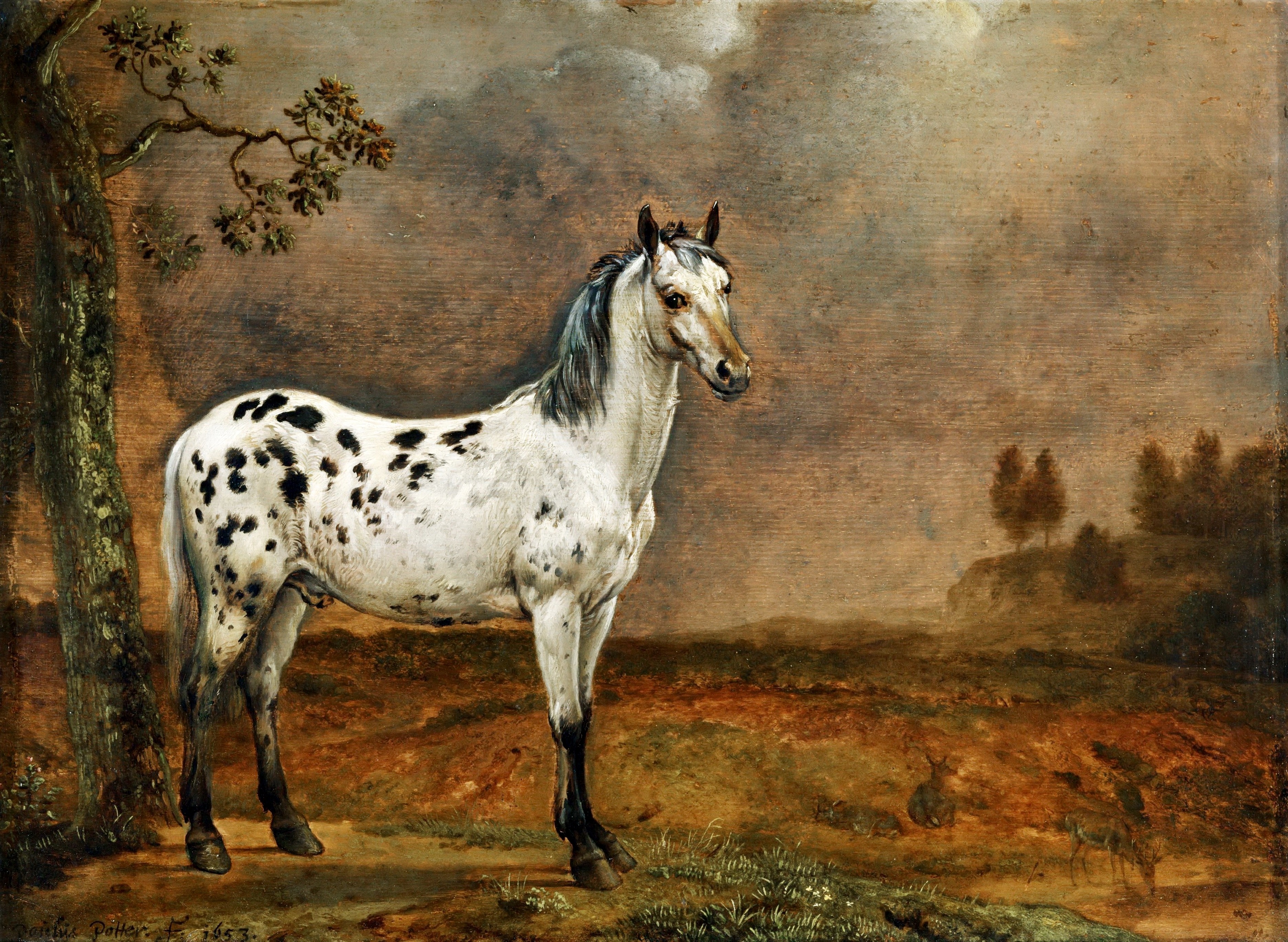 В чем смысл разговора иона с лошадью. Паулюс Поттер картины. Паулюс Поттер пегая лошадь. «Кони на лугу» (1649) Паулюс Поттер. Паулюс Поттер кони на лугу.