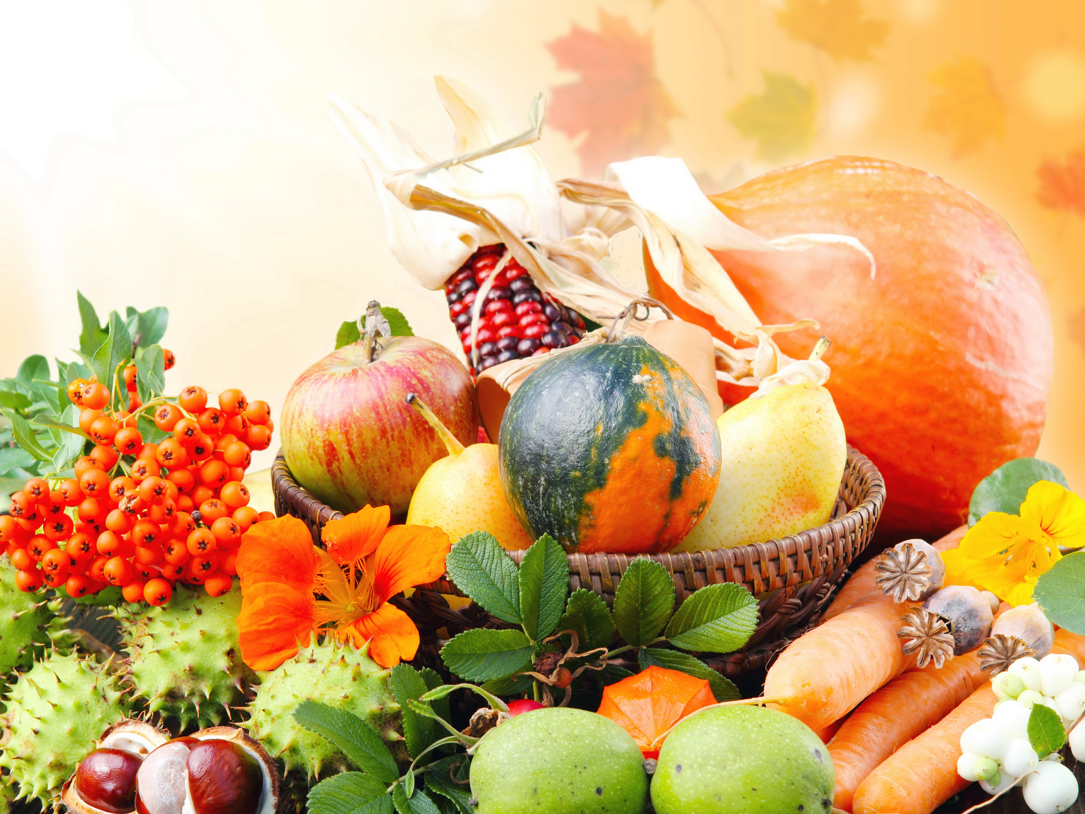 Фрукты ноябрь. Осенние овощи. Осенний урожай. Дары осени. Осень овощи и фрукты.