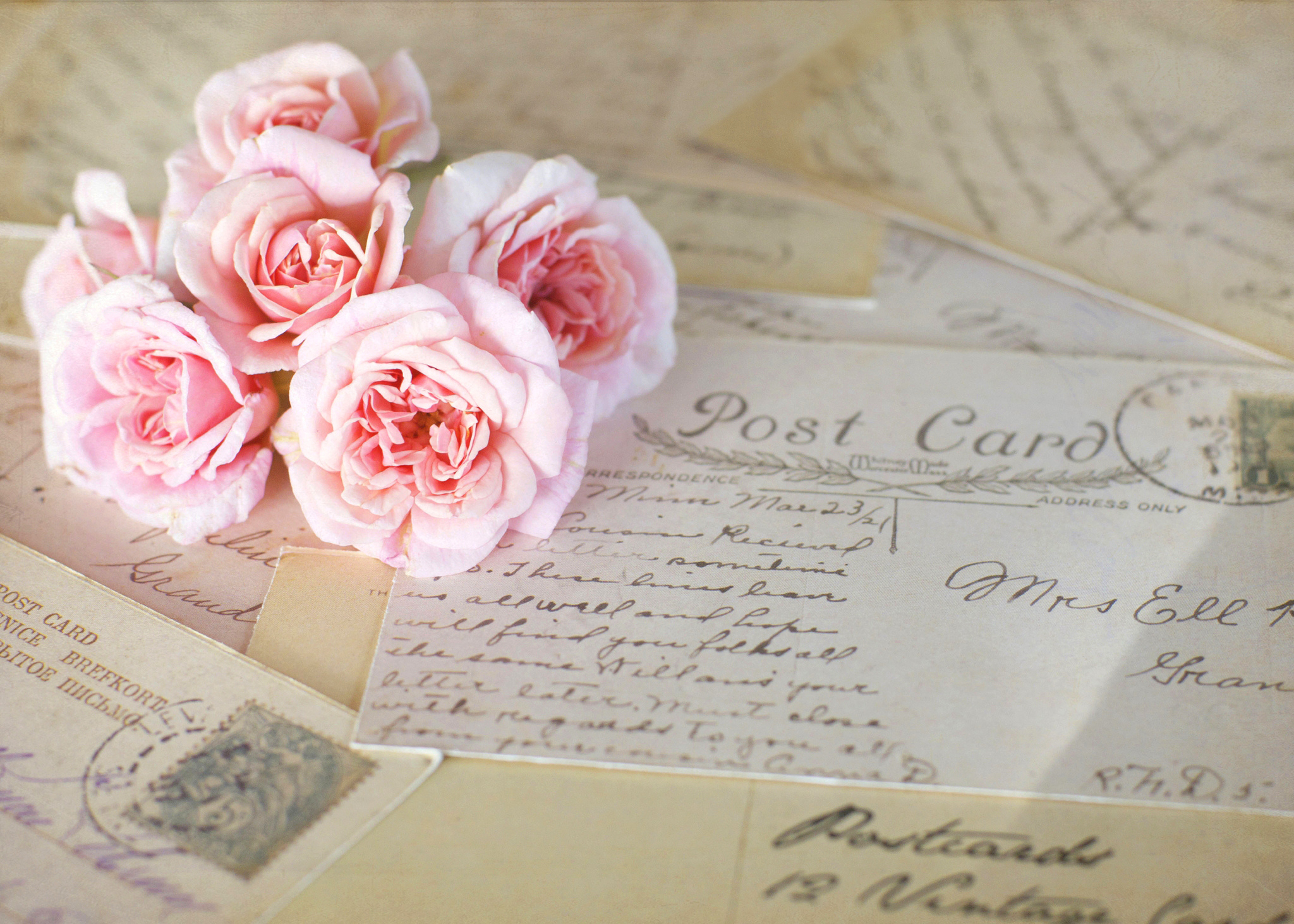 Школа нежность. Письмо и цветы. Нежный цветок. Нежные послания. Красивый фон с розами.