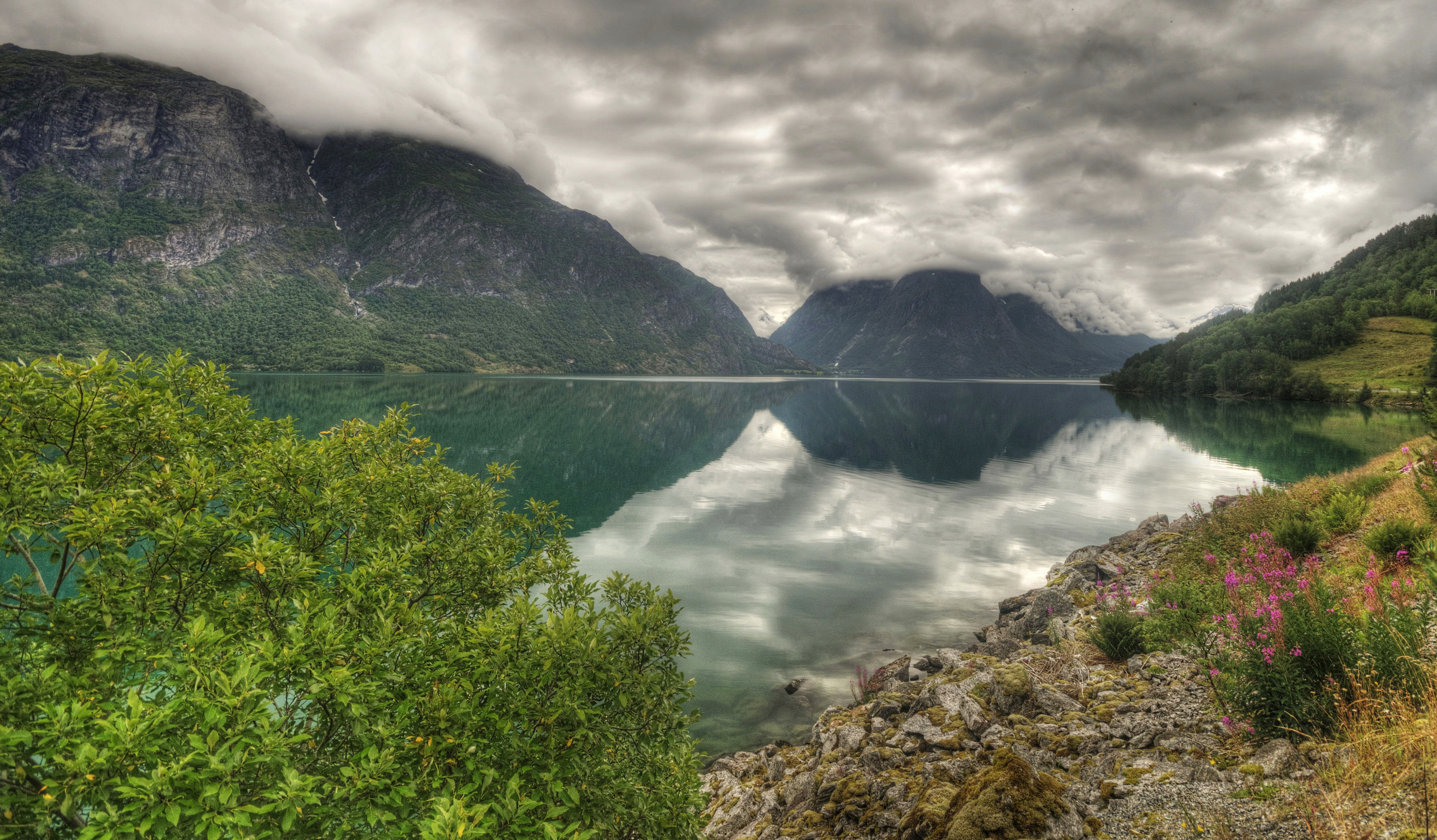 Реки леса океаны леса и поля. Lovatnet озеро Норвегия. Норвегия озеро МЬЕСА. Озеро Фемунн в Норвегии. Телецкое озеро.