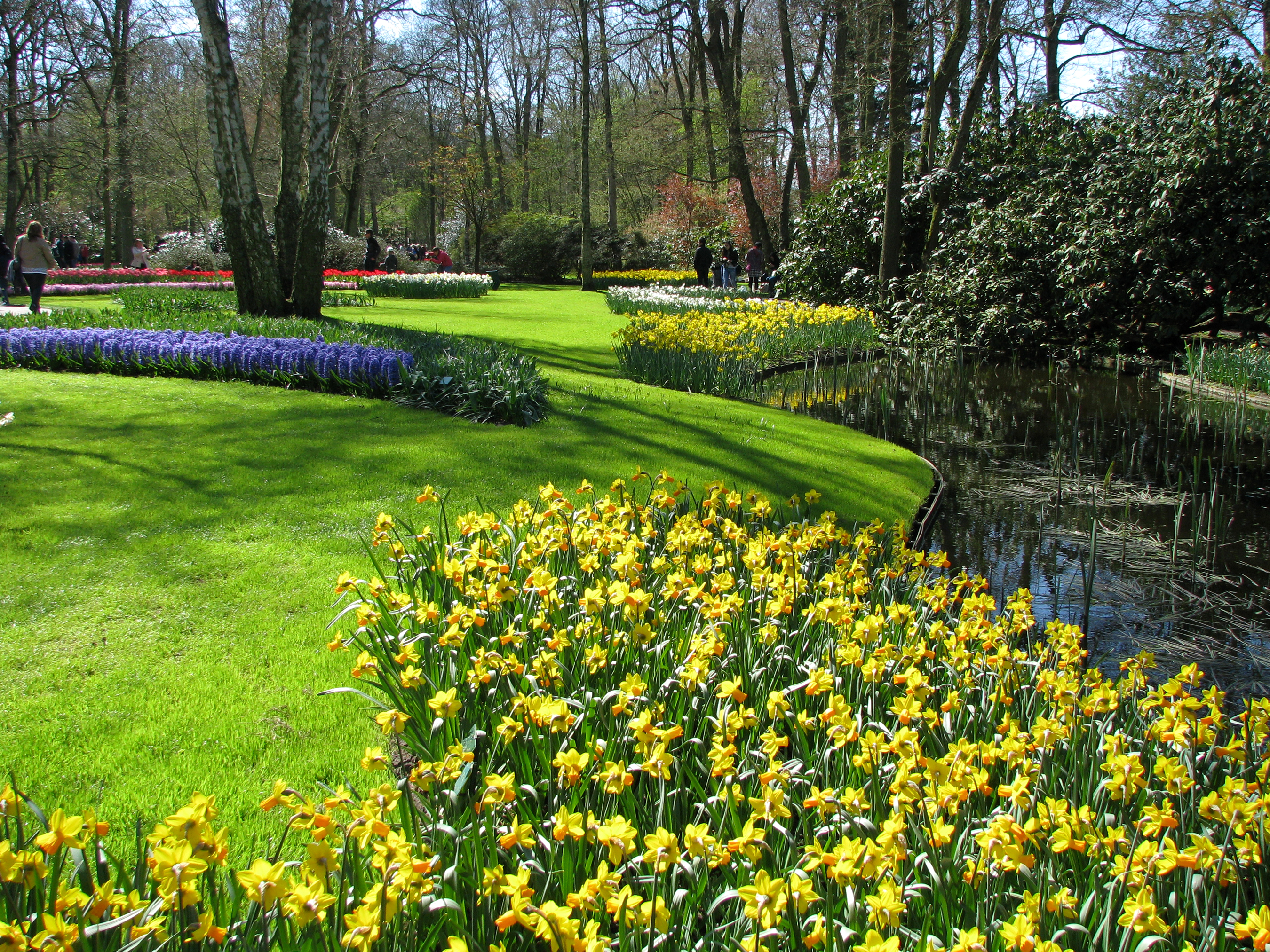 Keukenhof Gardens, Lisse, The Netherlands скачать