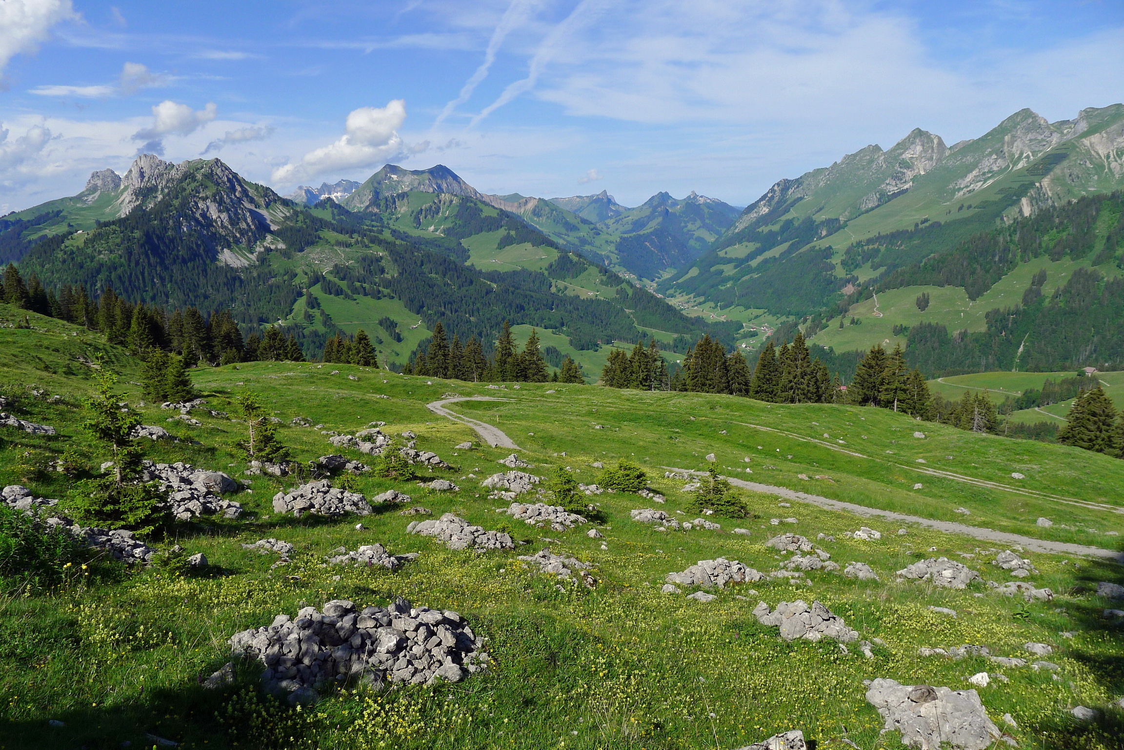 природа горы трава облака небо Швейцария загрузить