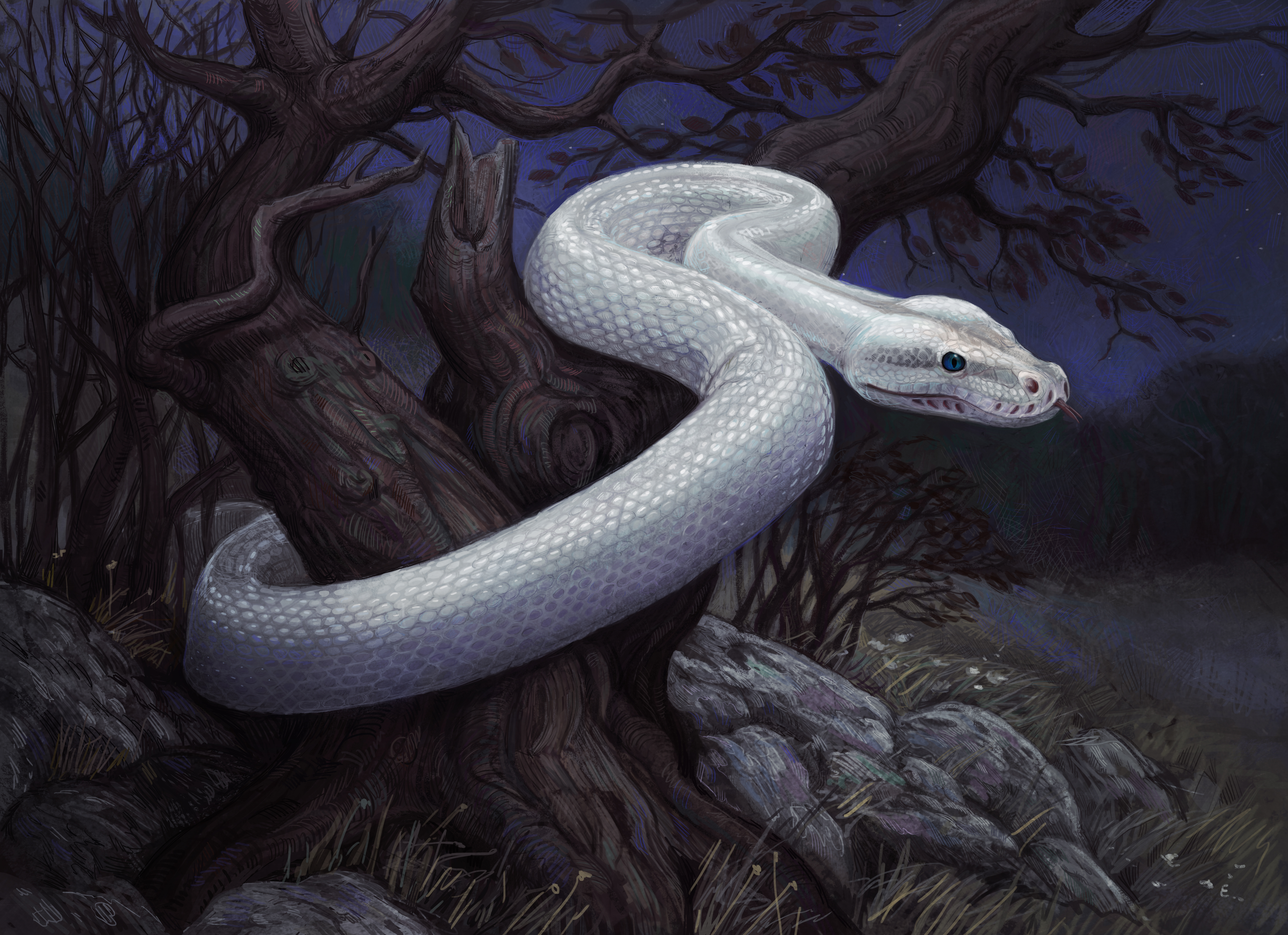 Ютуб змеиный. Королевская Кобра Нагайна. Фамильяр белая змея. Змеи питон арт. Королевская Кобра альбинос.