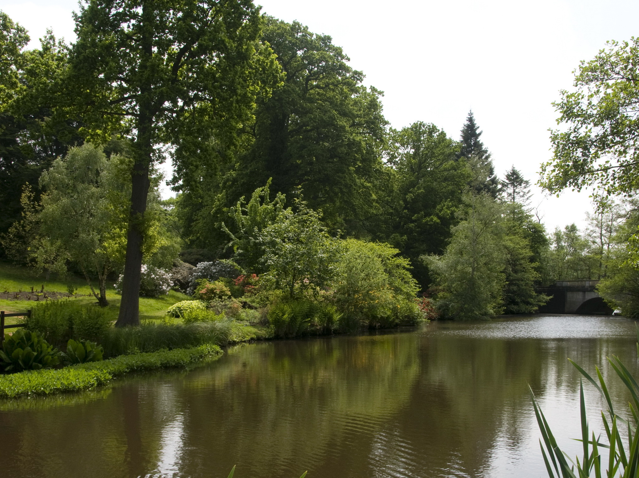 Речка вдоль парка без смс