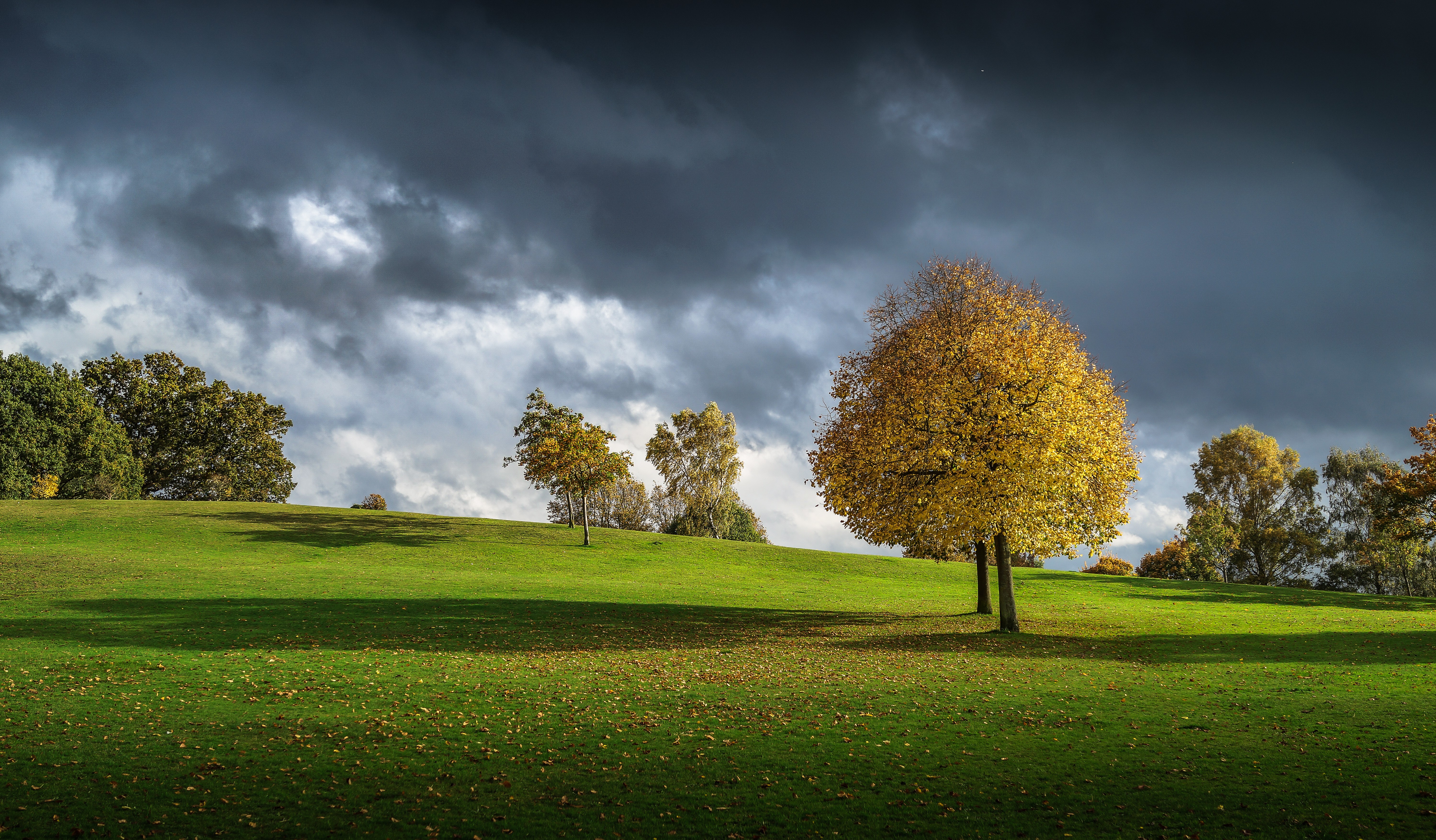 природа деревья облака трава осень загрузить
