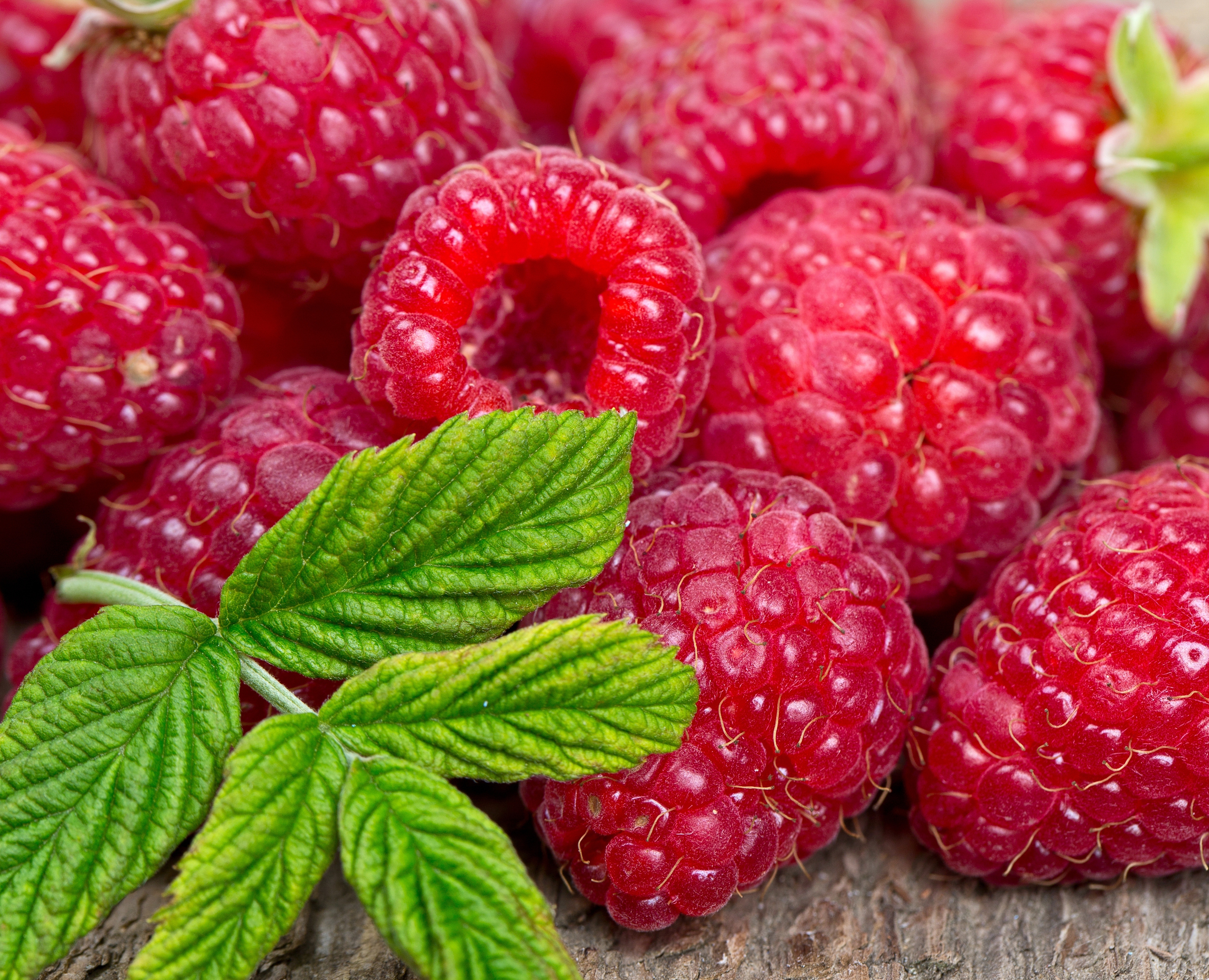 еда малина ягоды без смс