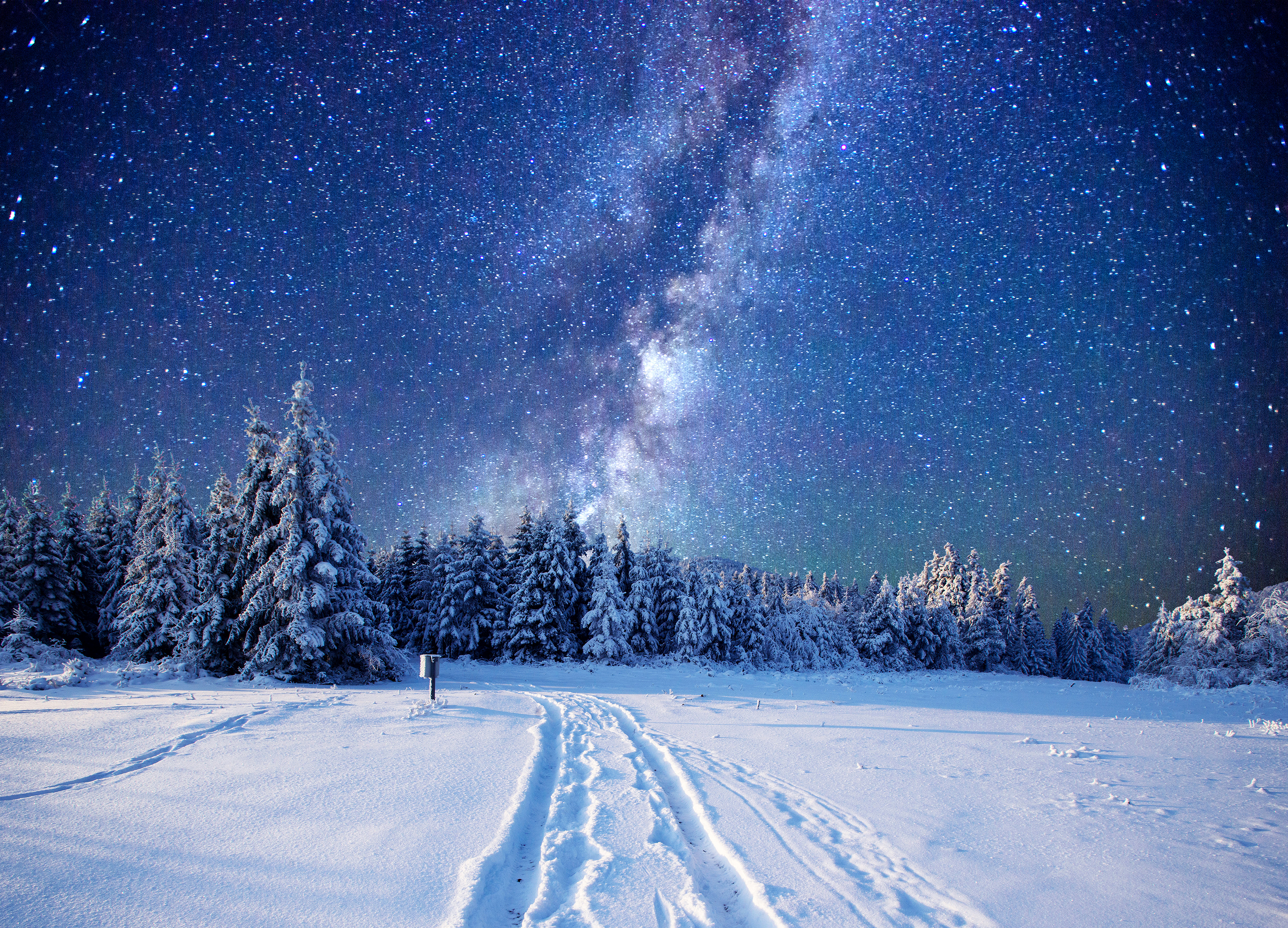 горы снег зима деревья ночь небо звезды загрузить