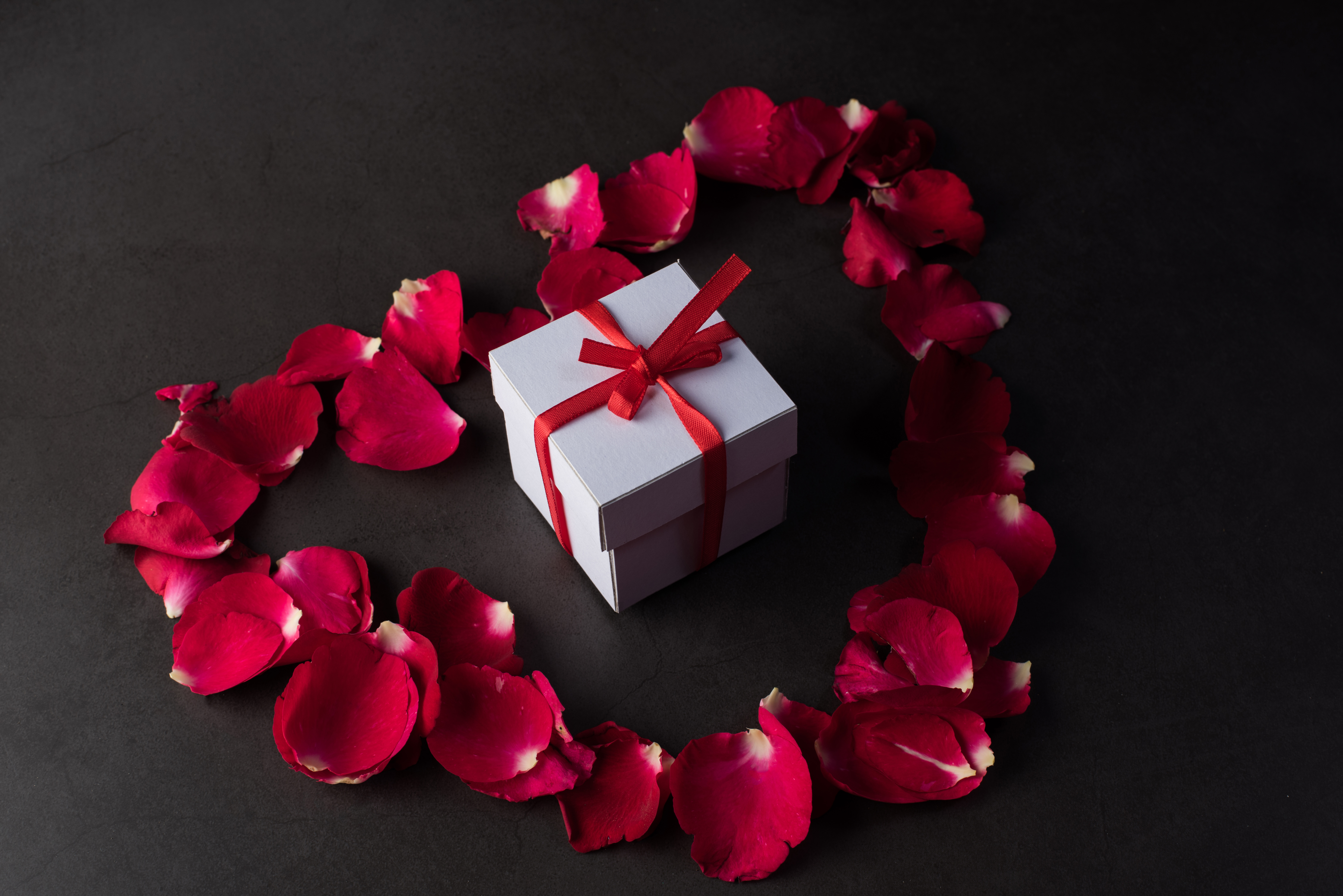 Картинки День святого Валентина лепестков темно красный Цветы подарков Серый фон День всех влюблённых Лепестки бордовая бордовые Бордовый цветок подарок Подарки сером фоне