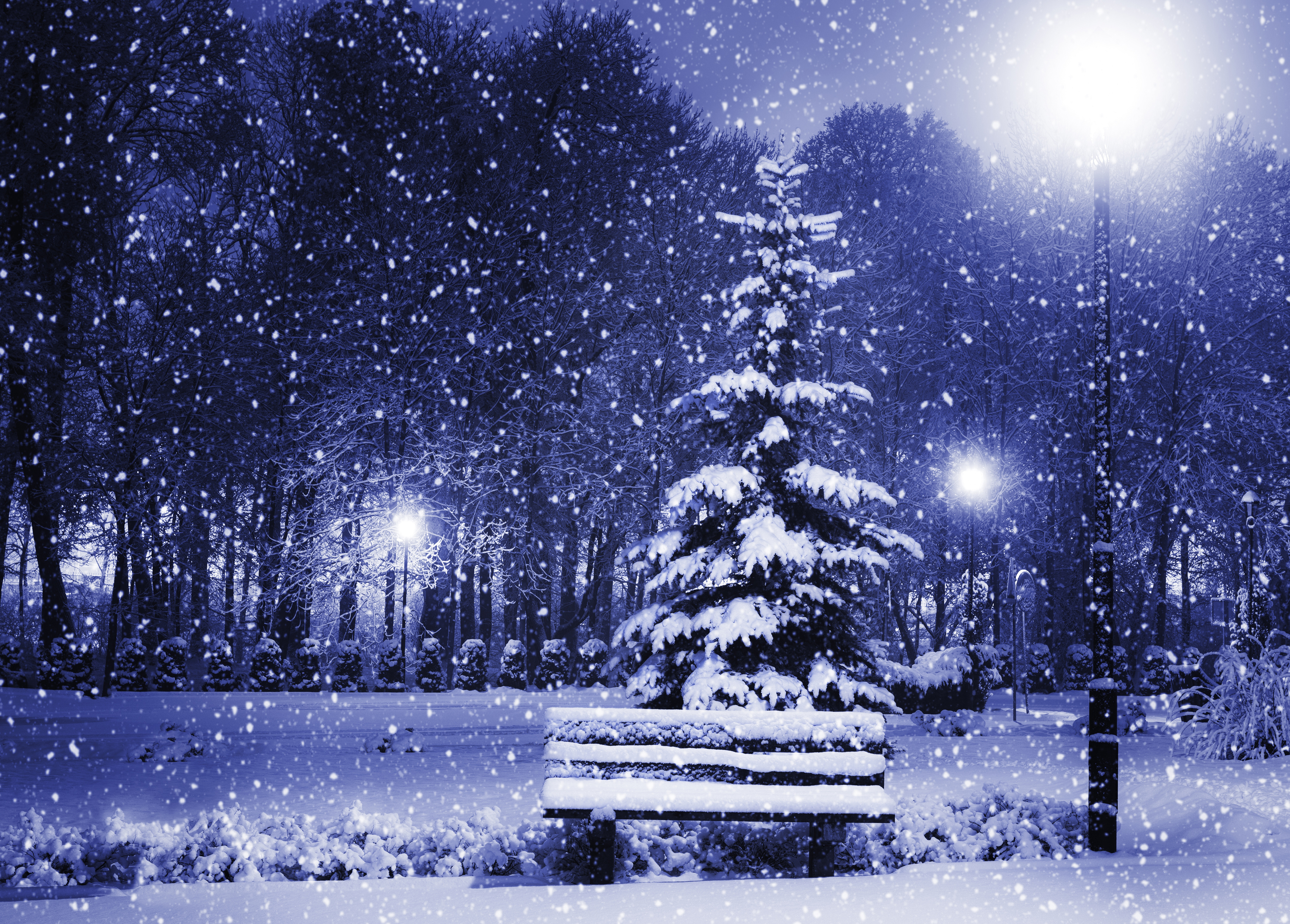 Анимация зима падающий снег с елкой