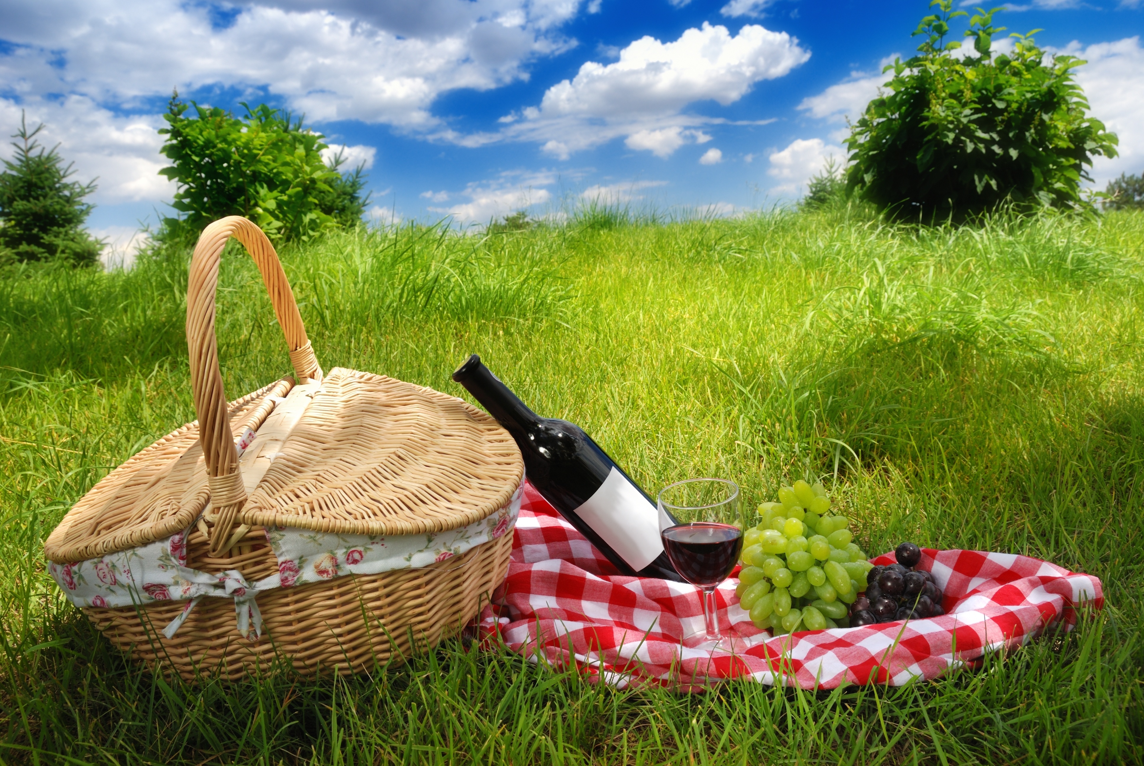 вино с фруктами на лужайке бесплатно