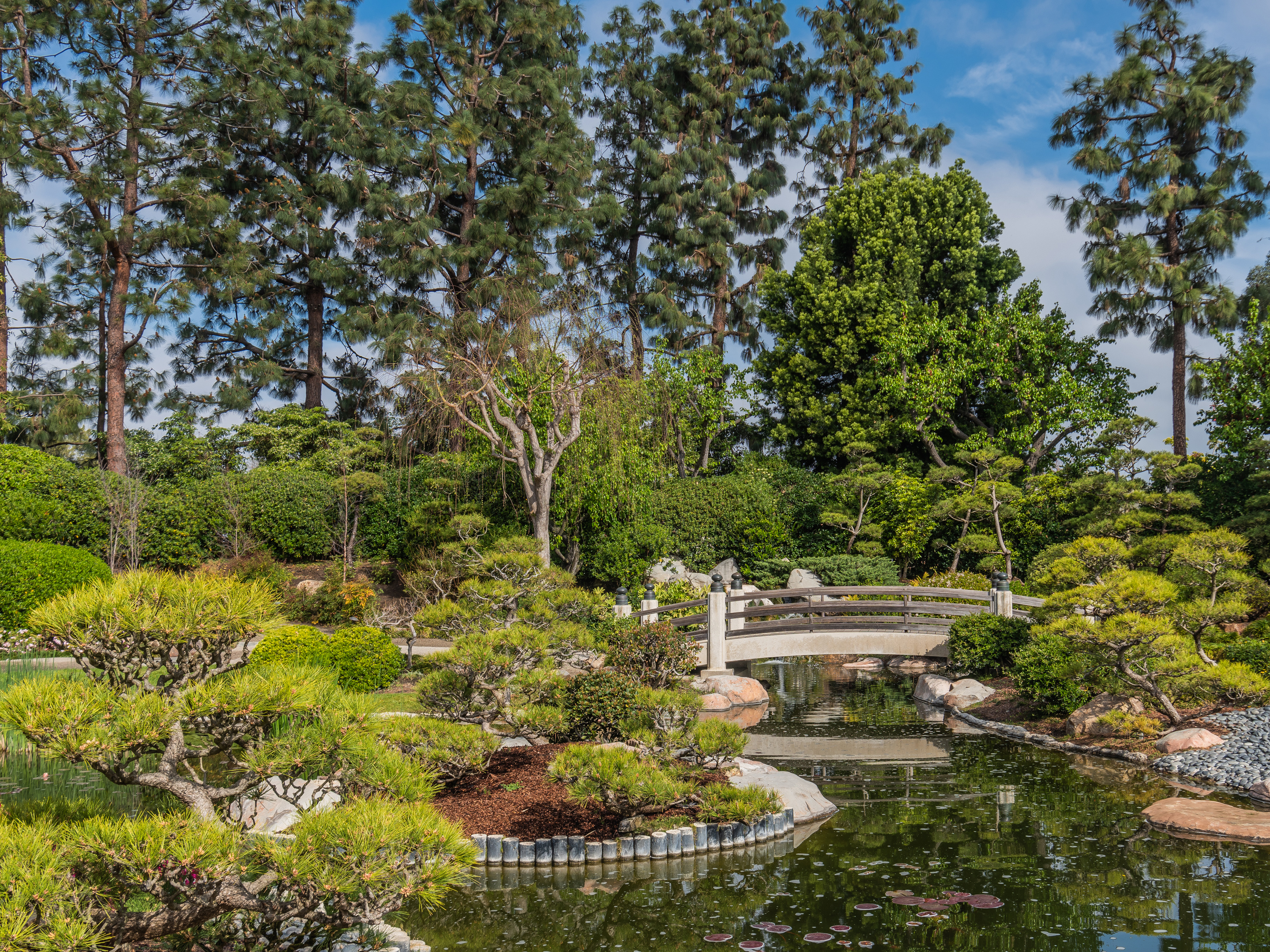 Long beach nature. Японский сад Эрл Бернс Миллер. Сейнт-Джордж Гарденс парк. Джапанес Гарден Айленд в Риджентс парке. Американский сад.