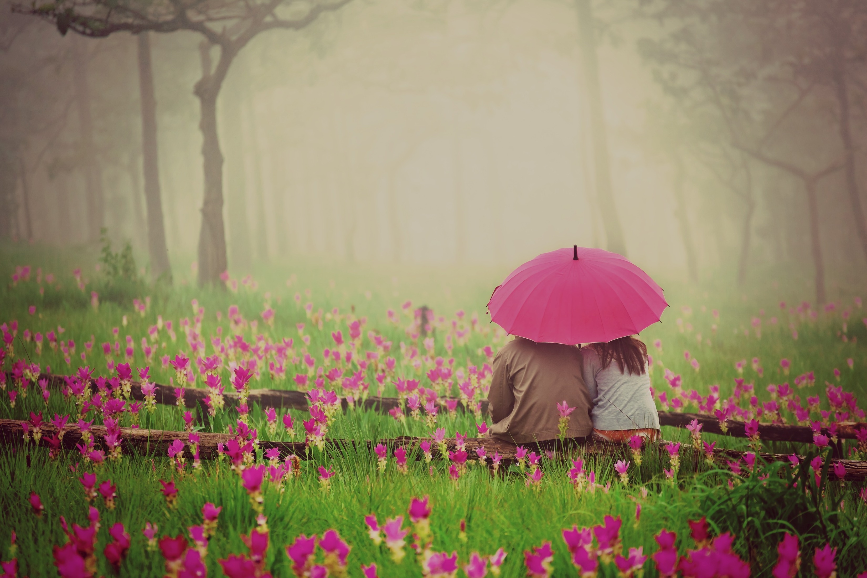 Картинки Влюбленные пары тумане Природа Цветы Зонт Трава любовники Туман тумана цветок траве зонтом зонтик