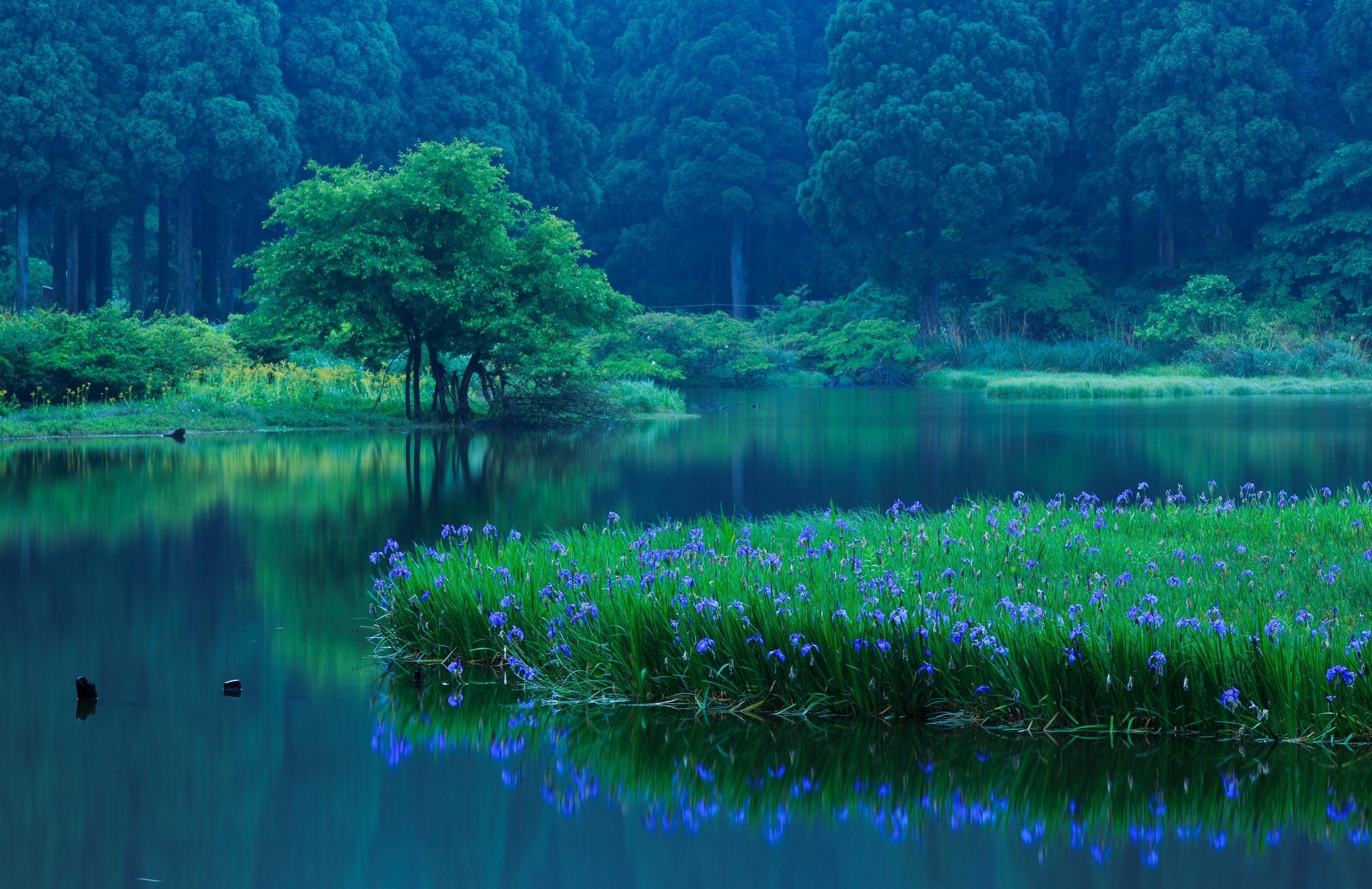 Зеленый пейзаж с озером без смс