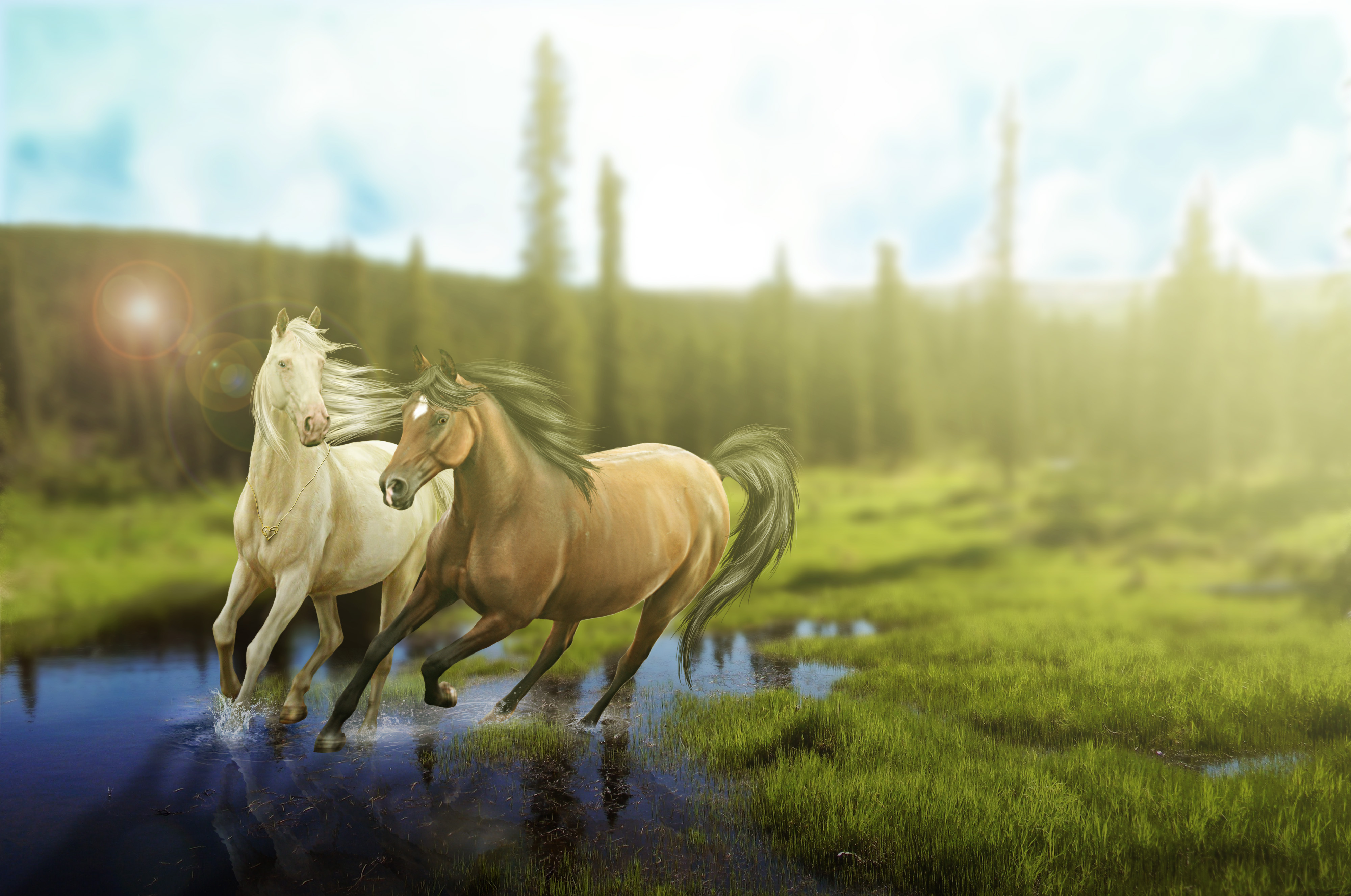 рисунок графика лошадь природа животные figure graphics horse nature animals без смс