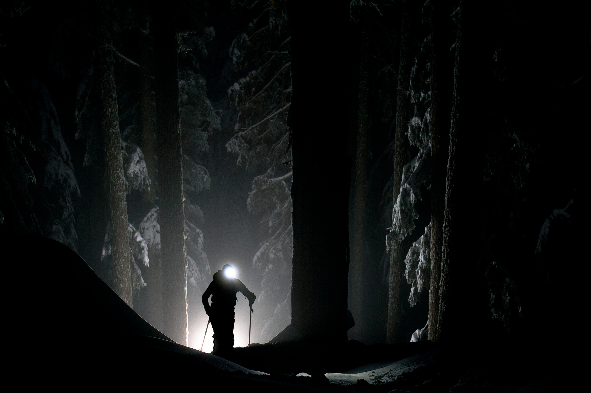 Light up the dark. Темный силуэт в лесу. Свет во тьме. Мрак. Лес ночью с фонариком.